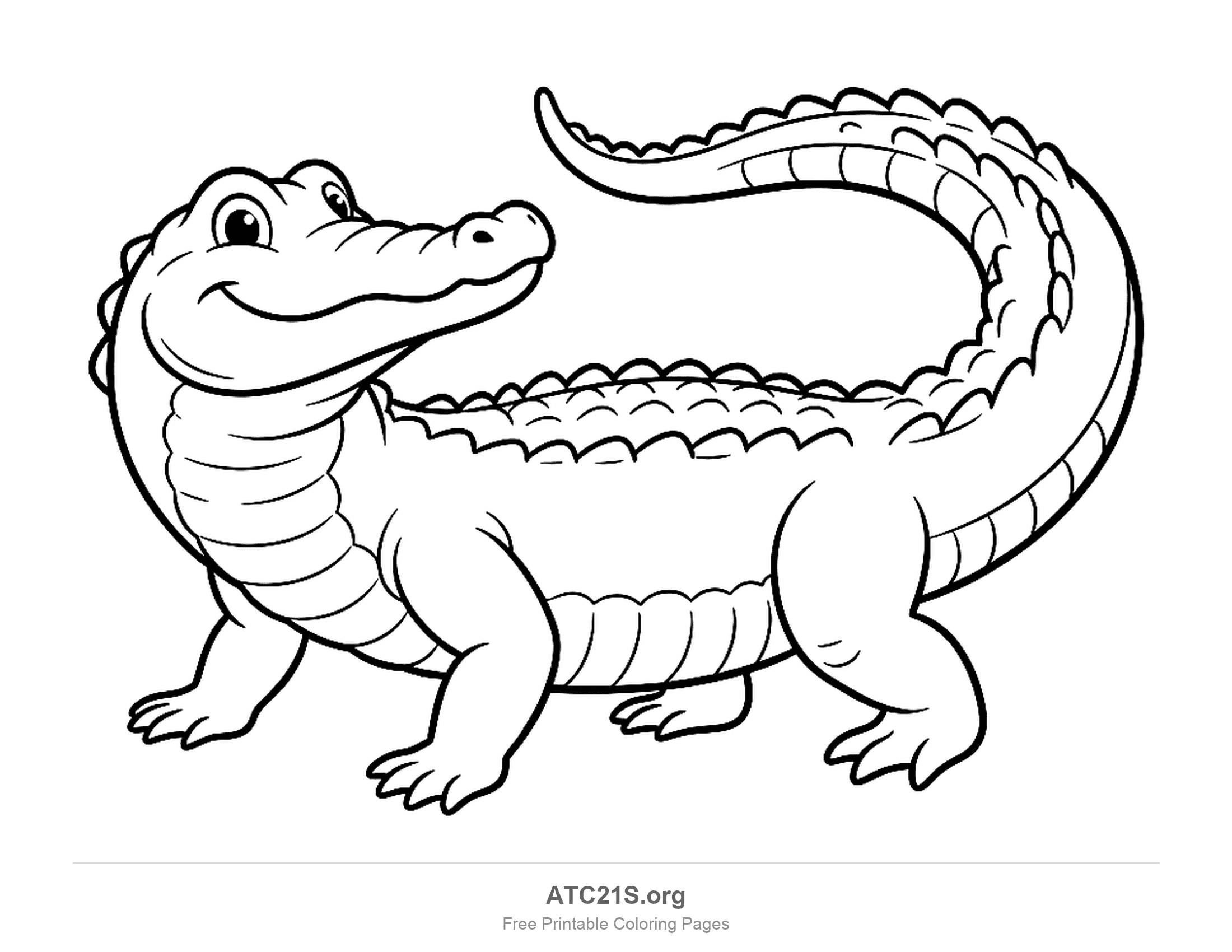 Alligator standing and looking back over its shoulder with a raised curled tail, belly plates and a ridge of scutes along its back, coloring page for kids