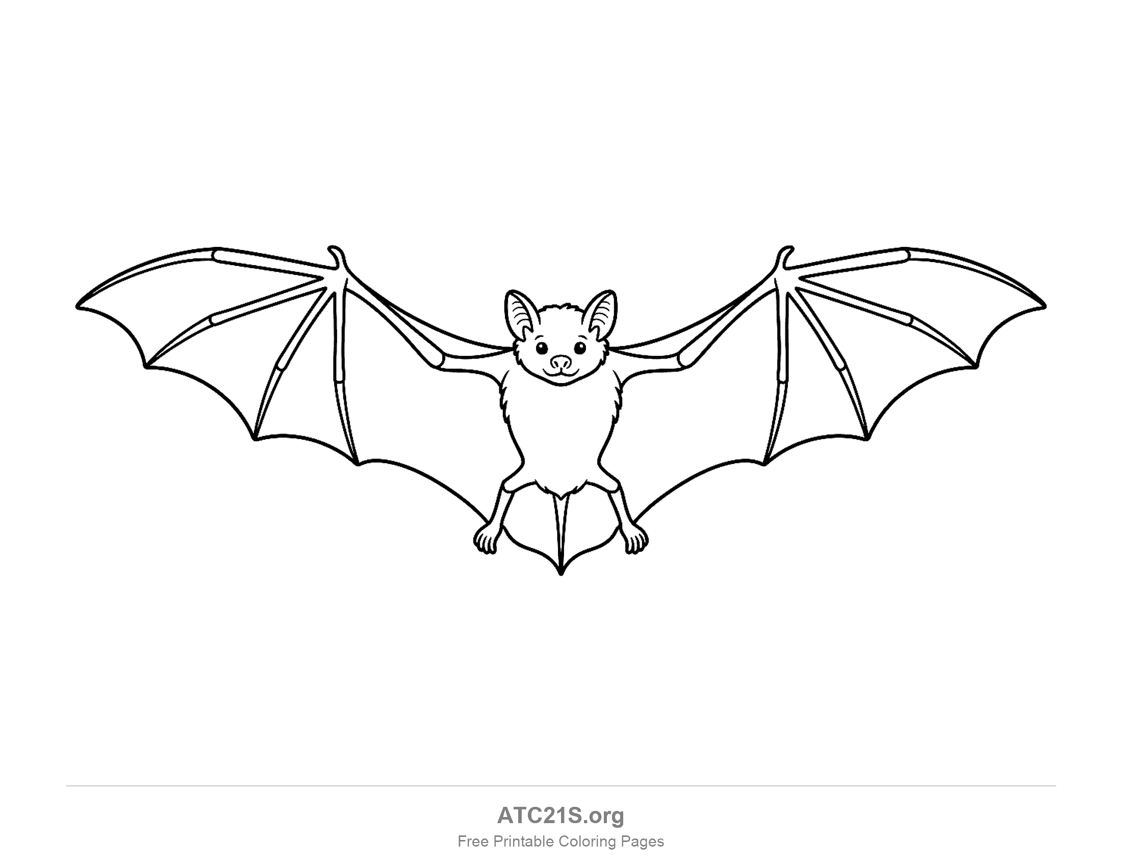 Detailed bat gliding with a full wingspan and long finger-like wing bones, coloring page for older kids