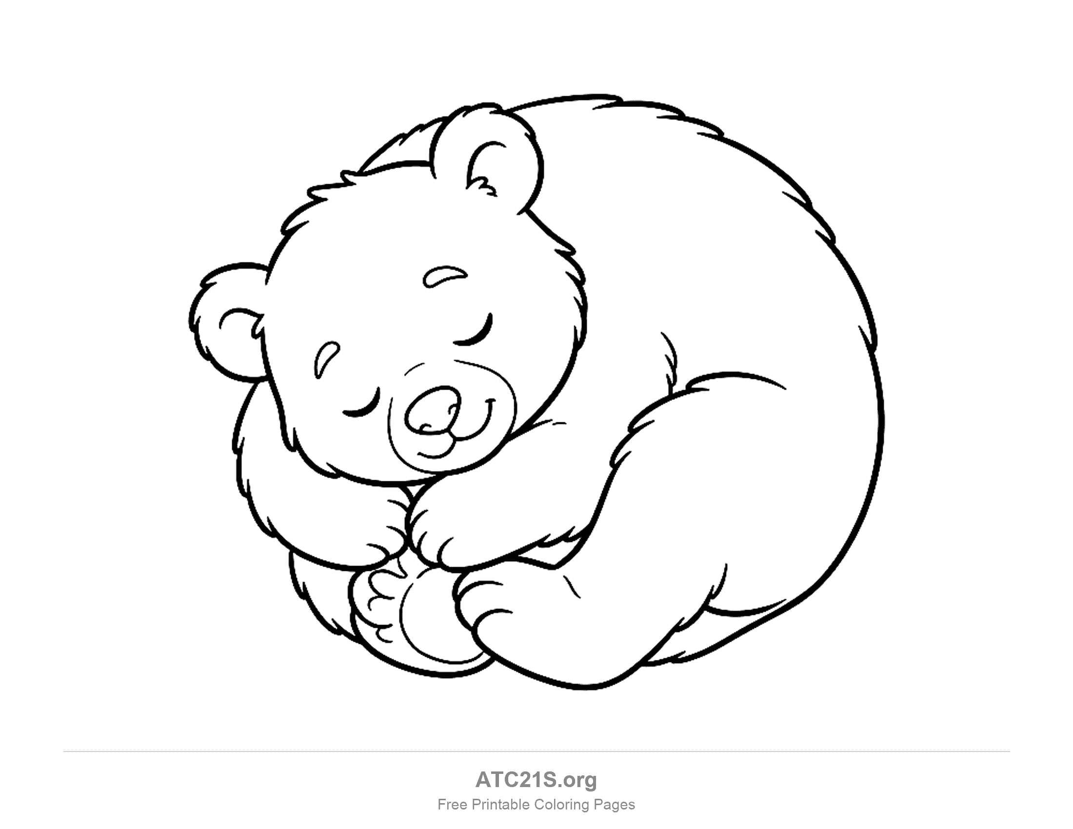 Bear curled into a ball asleep with its eyes closed and paws tucked in, coloring page for kids