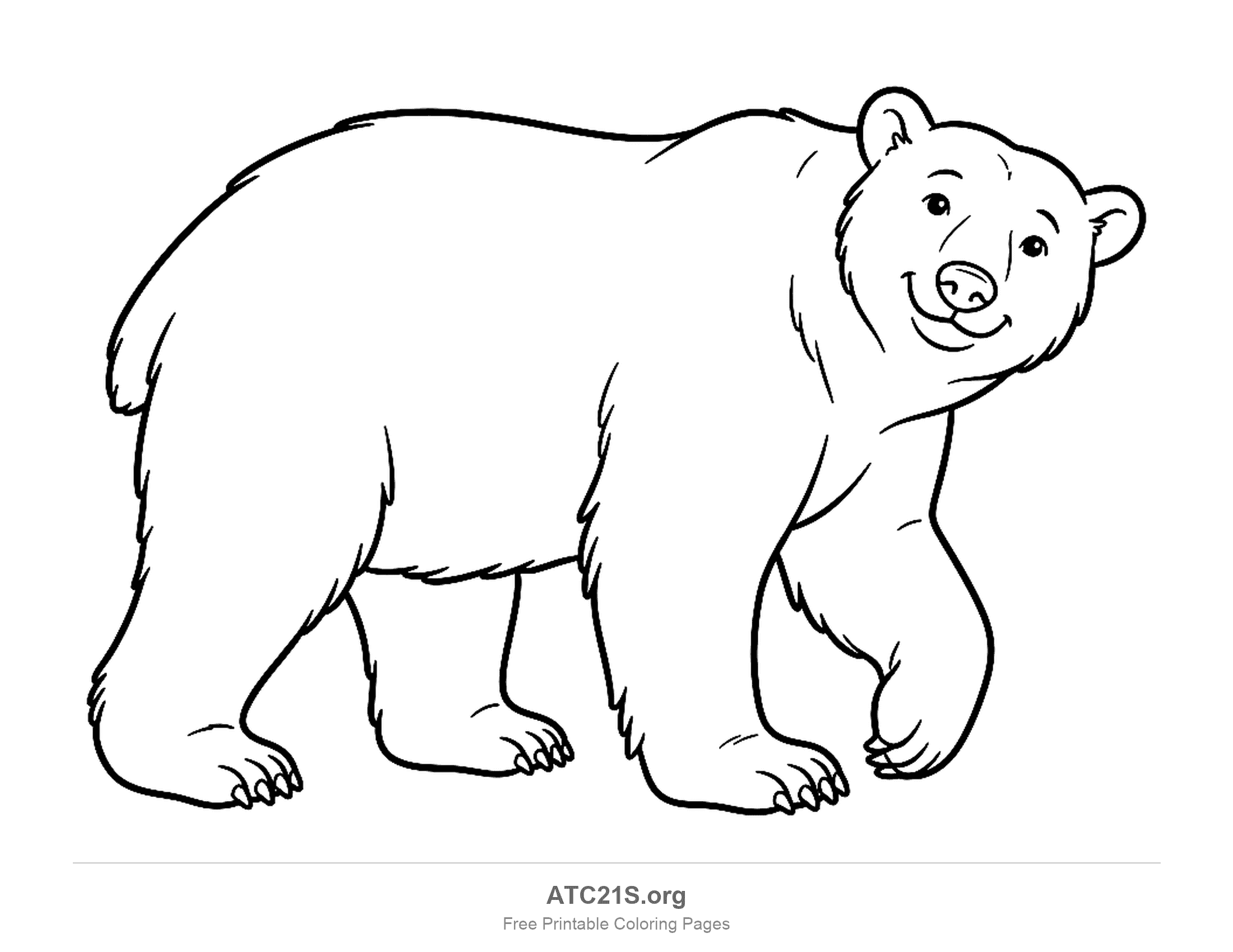 Detailed bear standing on all fours looking toward the viewer, coloring page for older kids