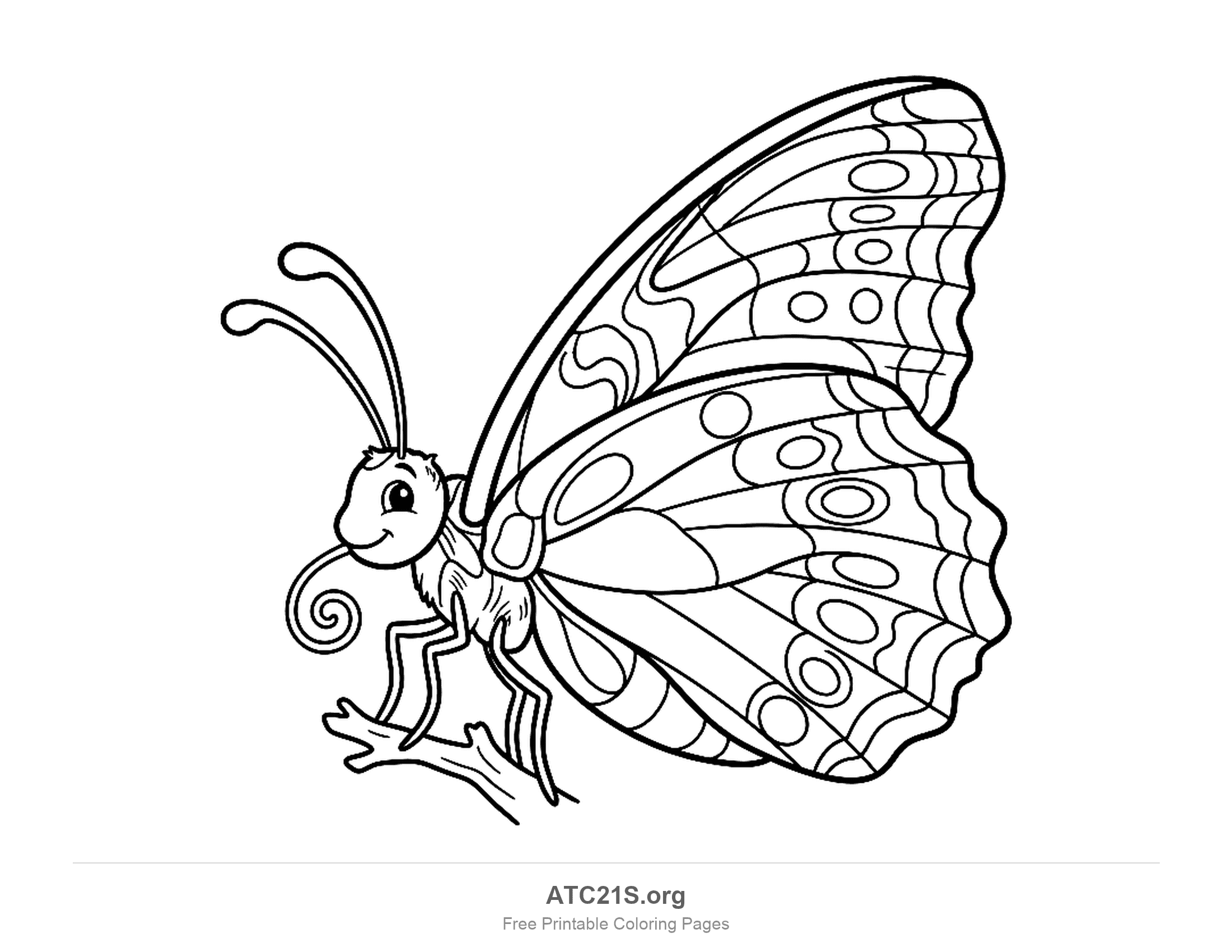 Cute cartoon butterfly perched on a twig in side view with curly antennae and spotted wings, coloring page for kids