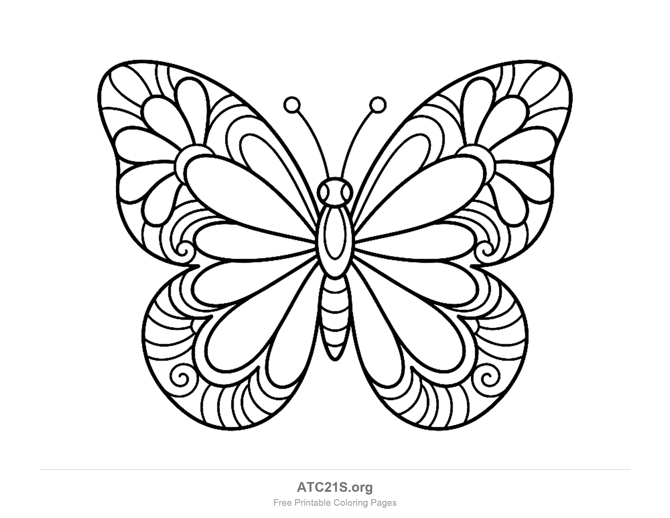 Butterfly with petal-shaped inner wings and swirling patterns around the edges, decorative coloring page