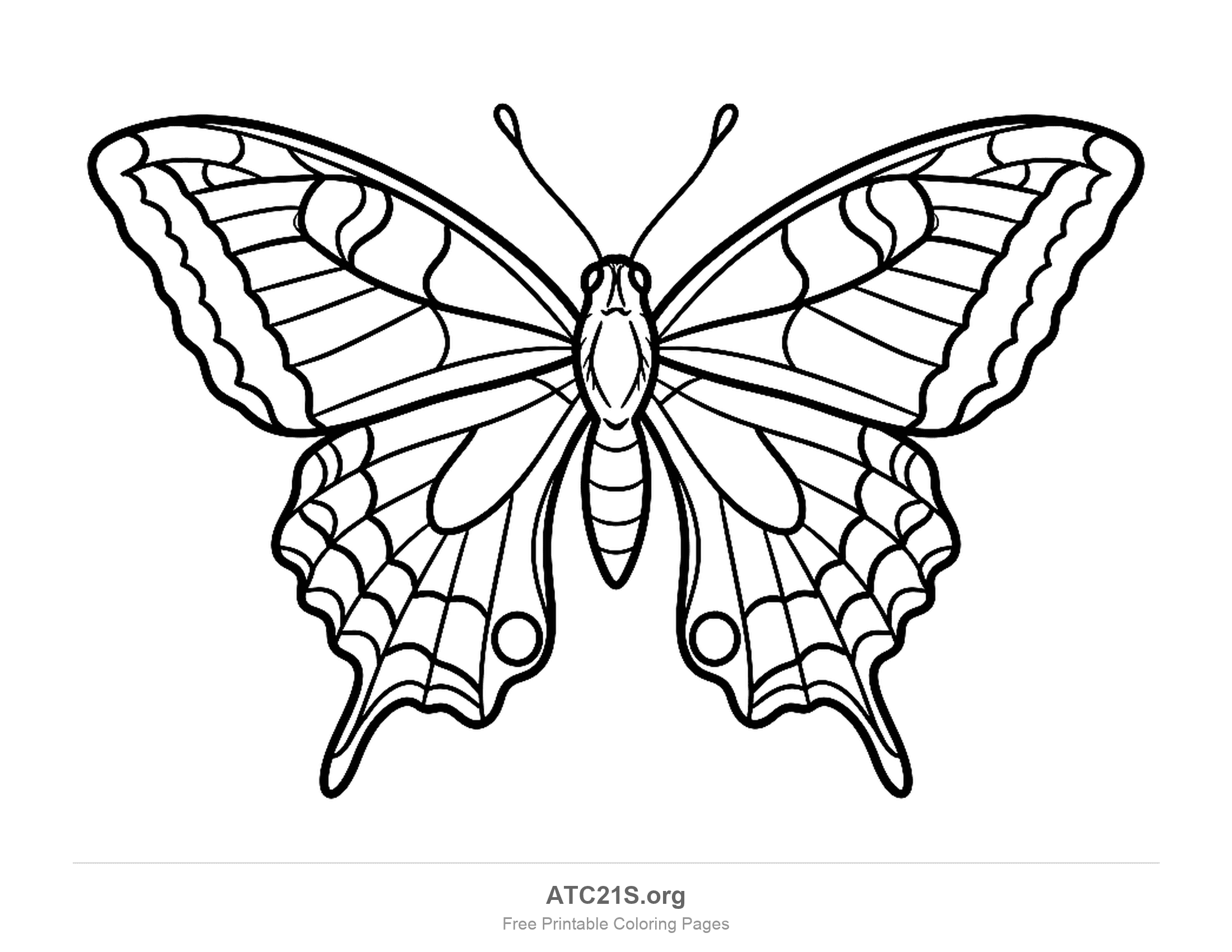 Swallowtail butterfly with pointed hindwing tails, scalloped edges and eyespots, detailed coloring page