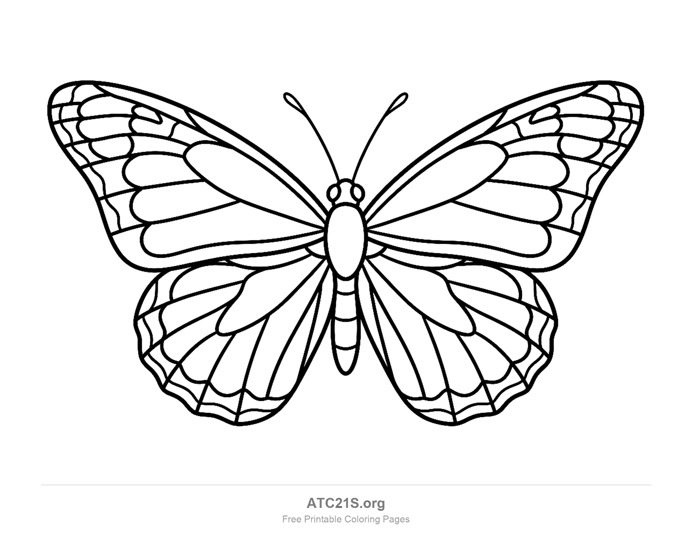 Monarch butterfly with densely divided wing cells and scalloped edges, detailed coloring page for older kids