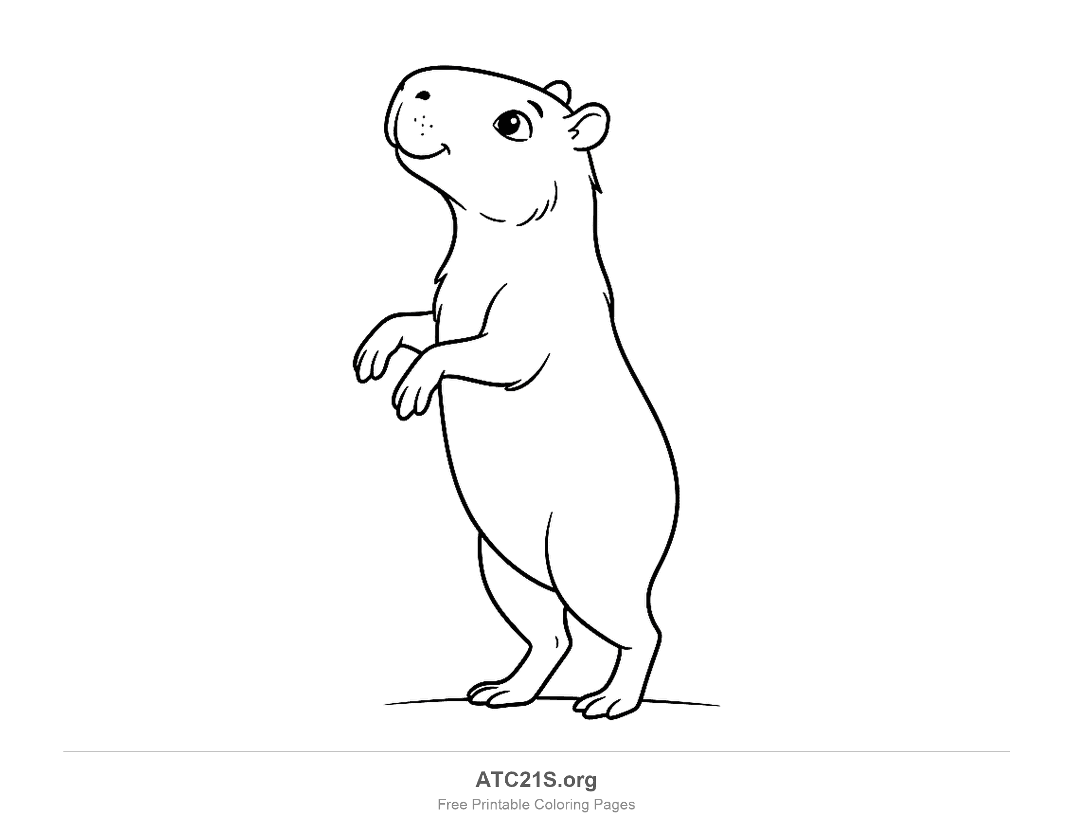 Capybara