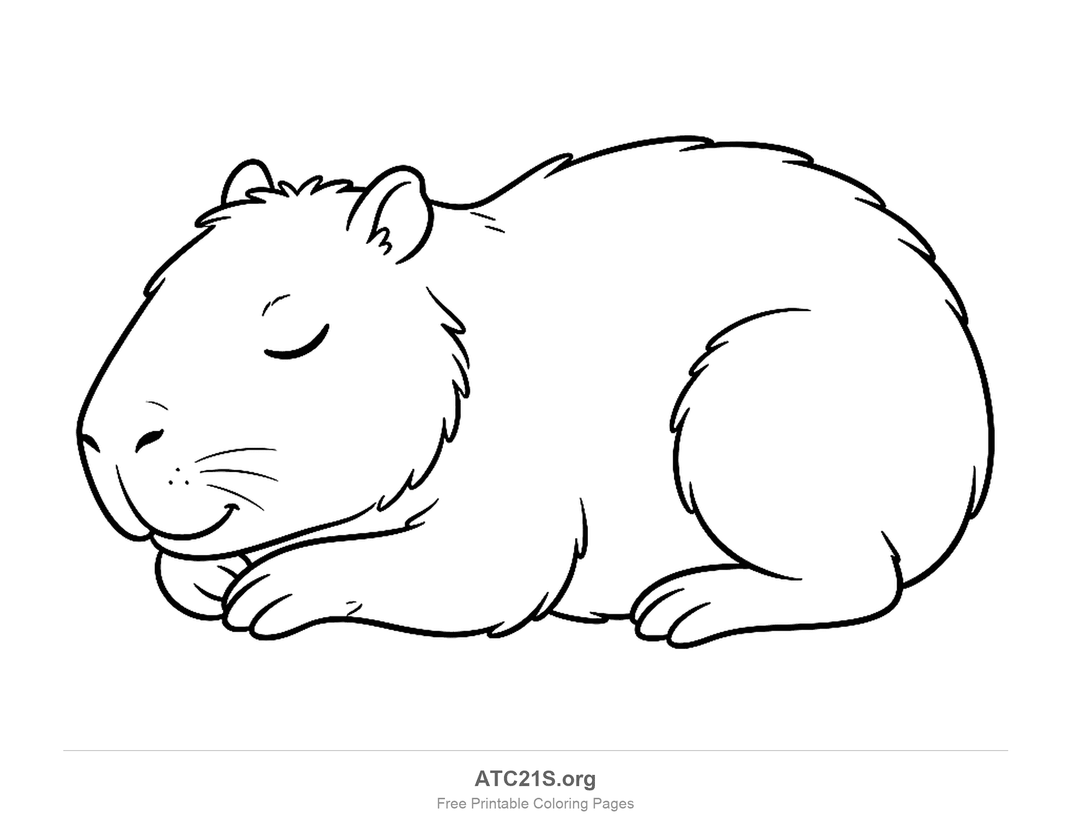 Sleeping capybara lying in a loaf with closed eyes, a smile and tucked front paws, easy coloring page for kids