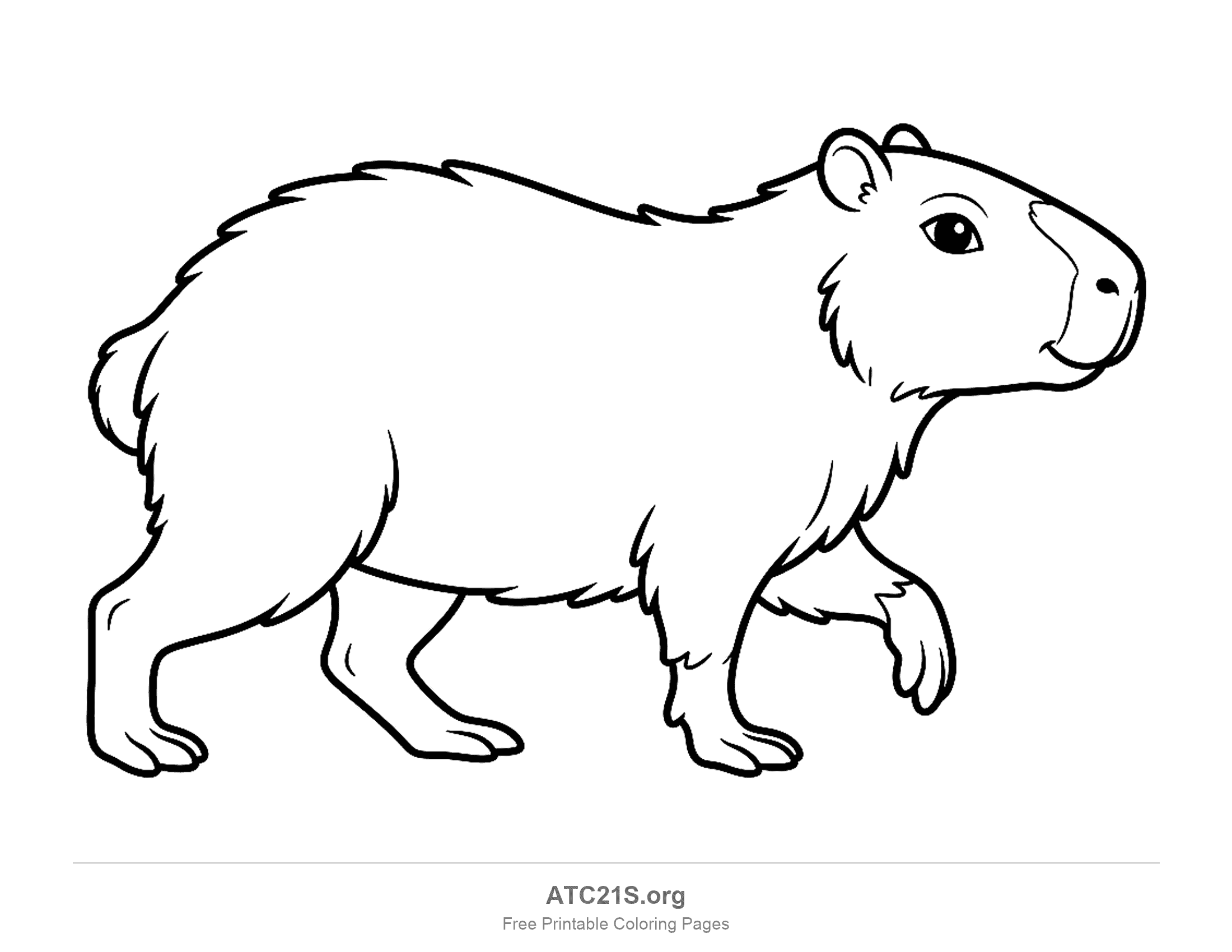 Capybara walking in side profile with a barrel-shaped body and one front paw lifted, printable coloring page