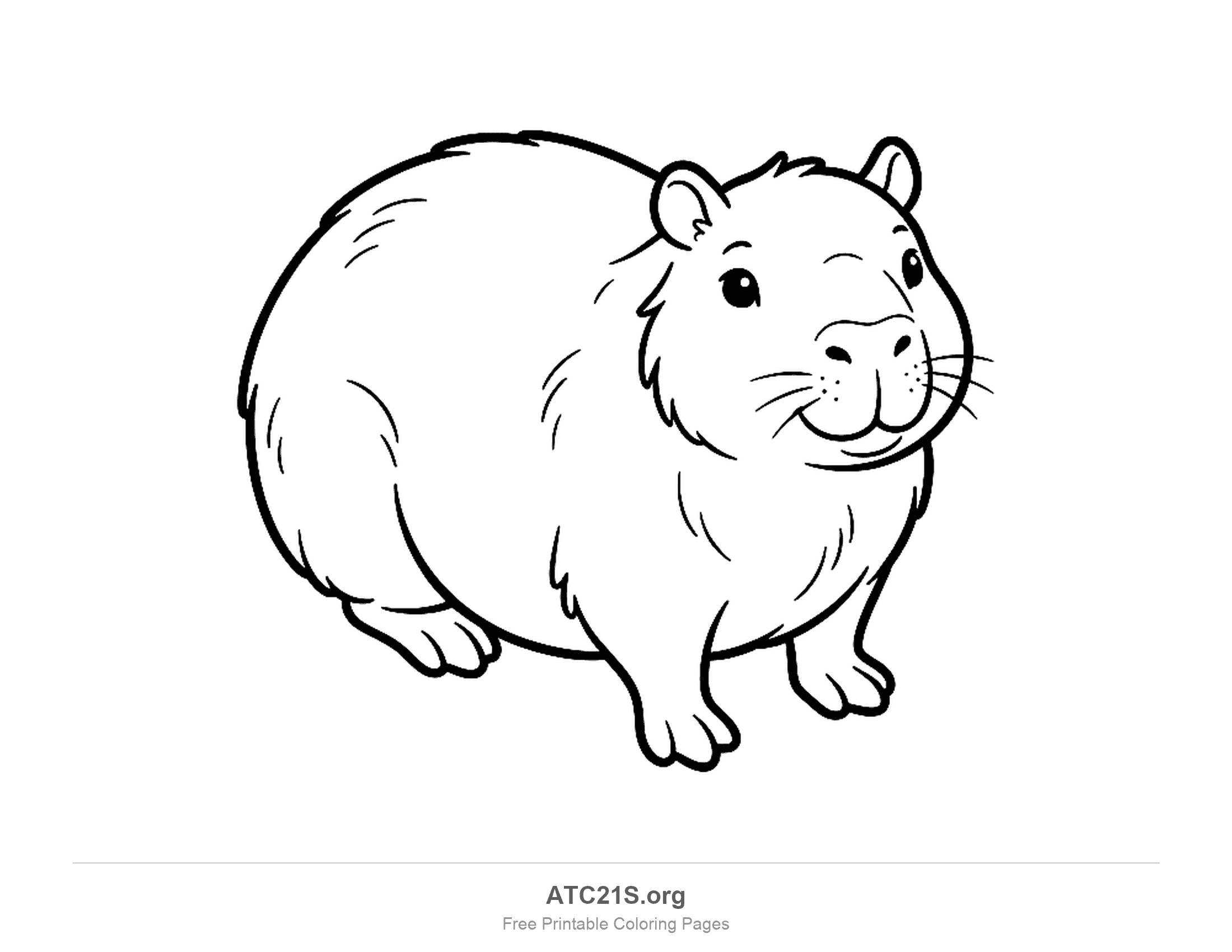 Round chubby capybara standing in three-quarter view looking at the viewer, coloring page for kids
