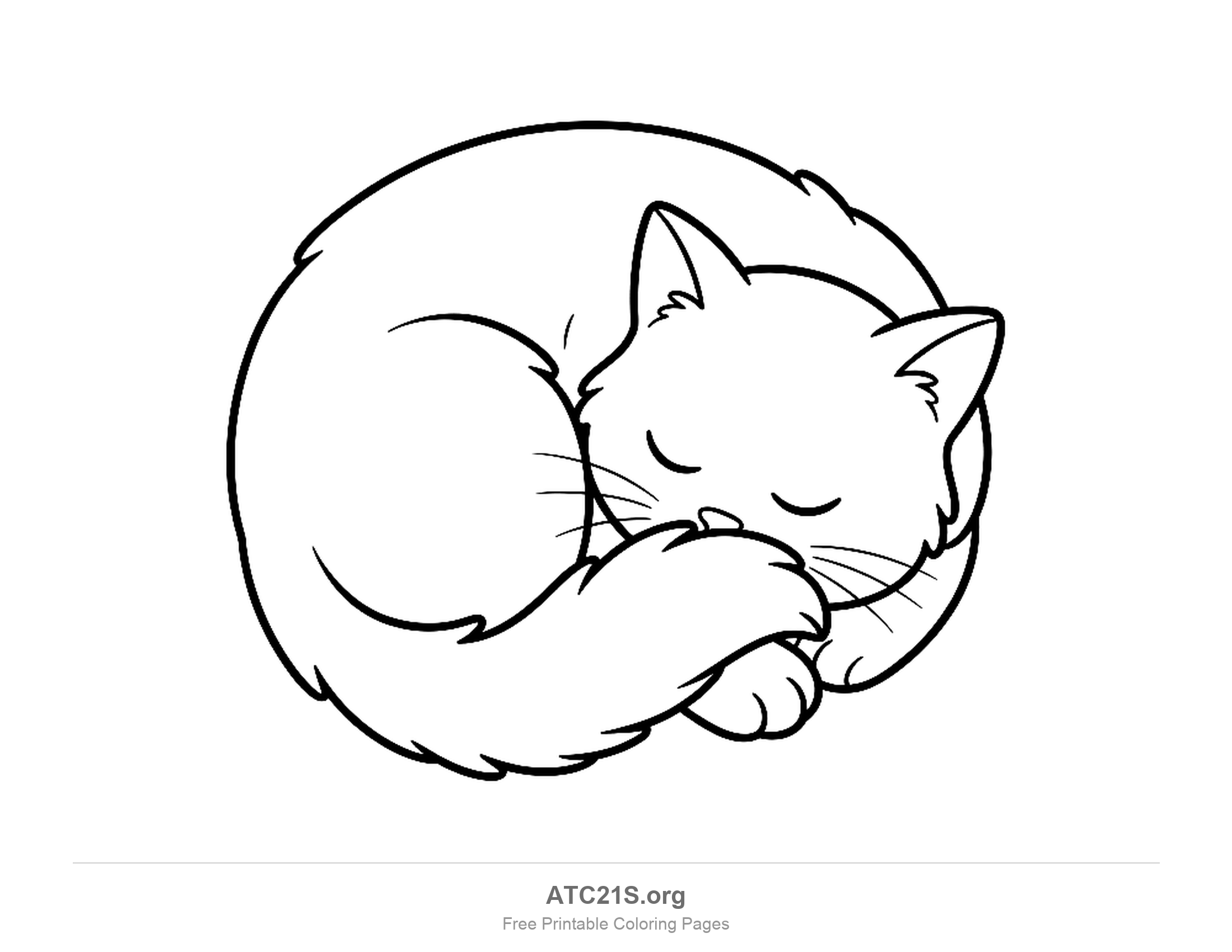 Cat coloring page
