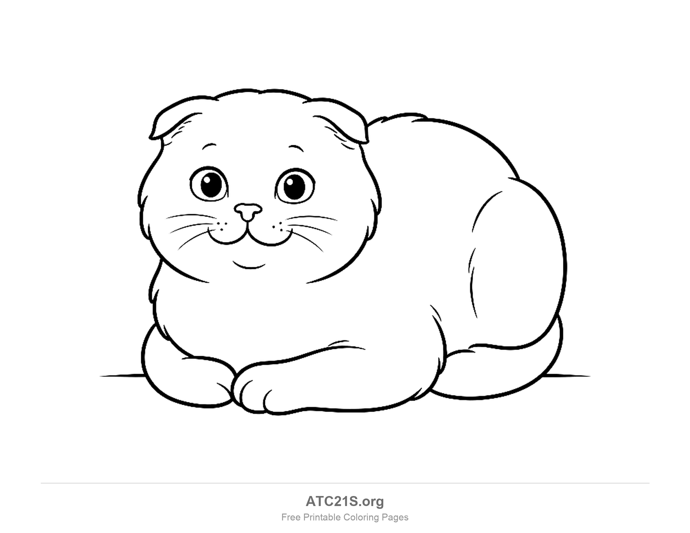 Chubby fold-eared cat lying down in the loaf pose with its front paws tucked under, simple coloring page for preschoolers