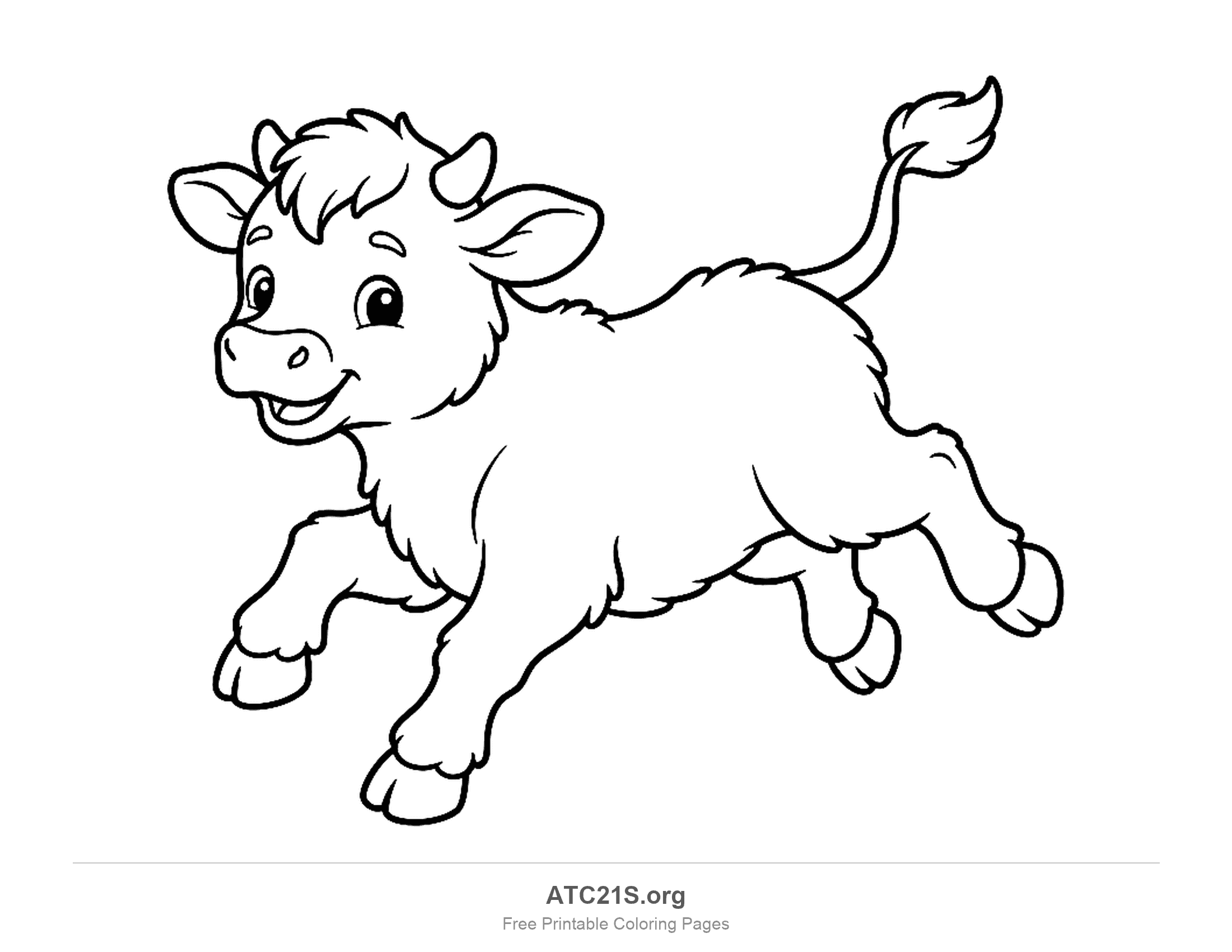 Cattle