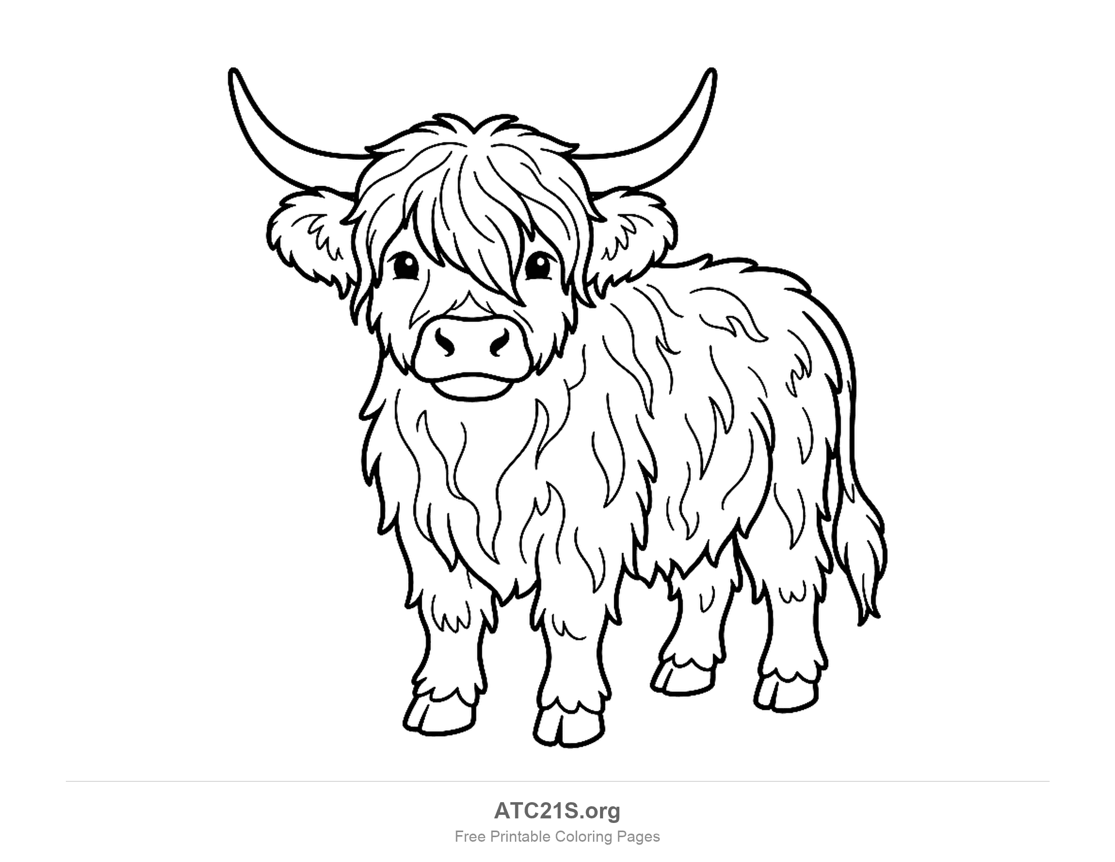 Standing shaggy cow with bangs over its eyes, wide curved horns and a fluffy coat, detailed coloring page for older kids
