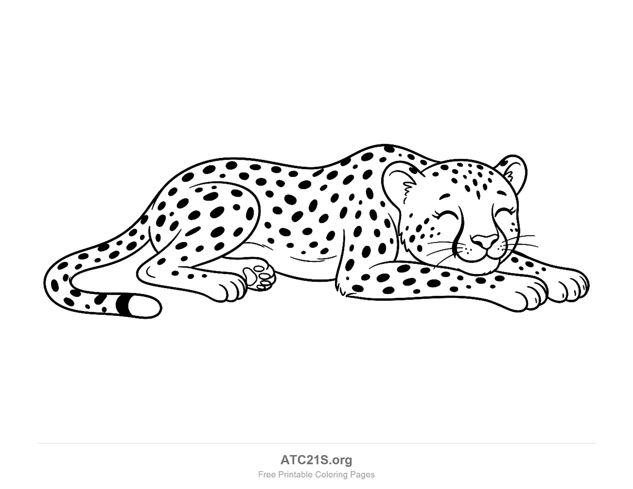 Cheetah lying down with closed happy eyes, front paws stretched forward and a coat of solid spots, coloring page for kids
