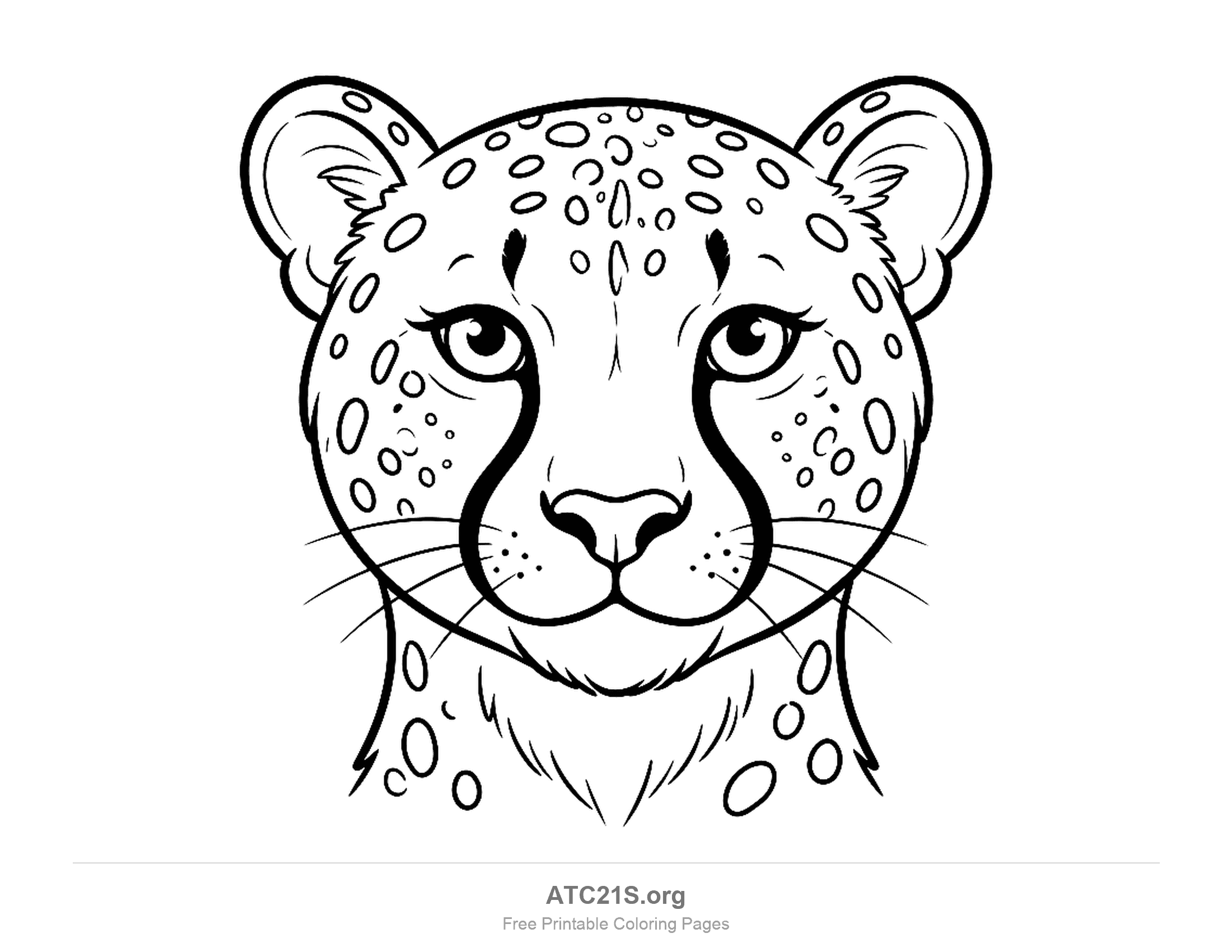 Detailed close-up of a cheetah's face with tear marks from the eyes to the mouth, whiskers and spotted fur, coloring page for older kids