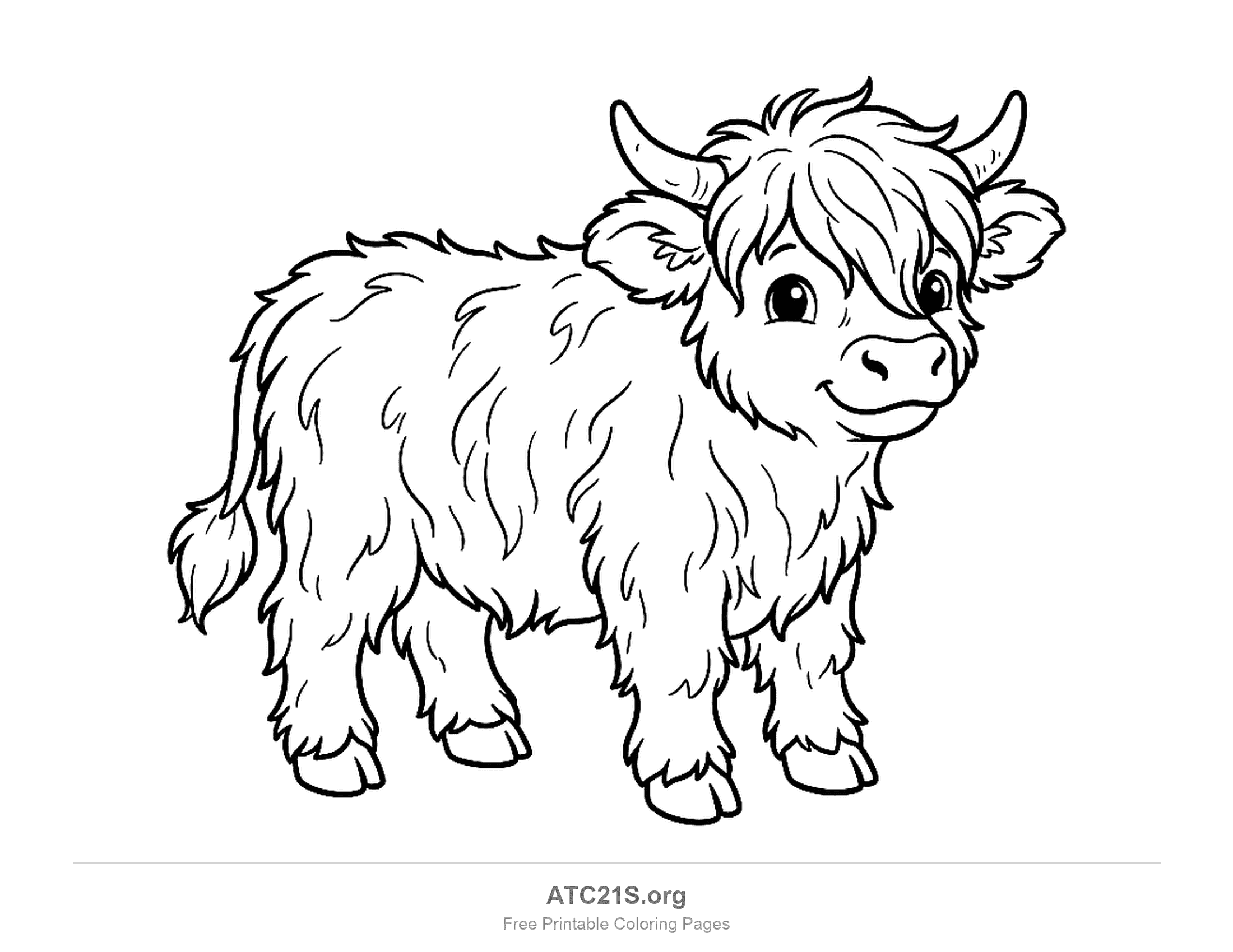 Fluffy Highland calf standing with a shaggy coat and bangs over its eyes, detailed coloring page for older kids