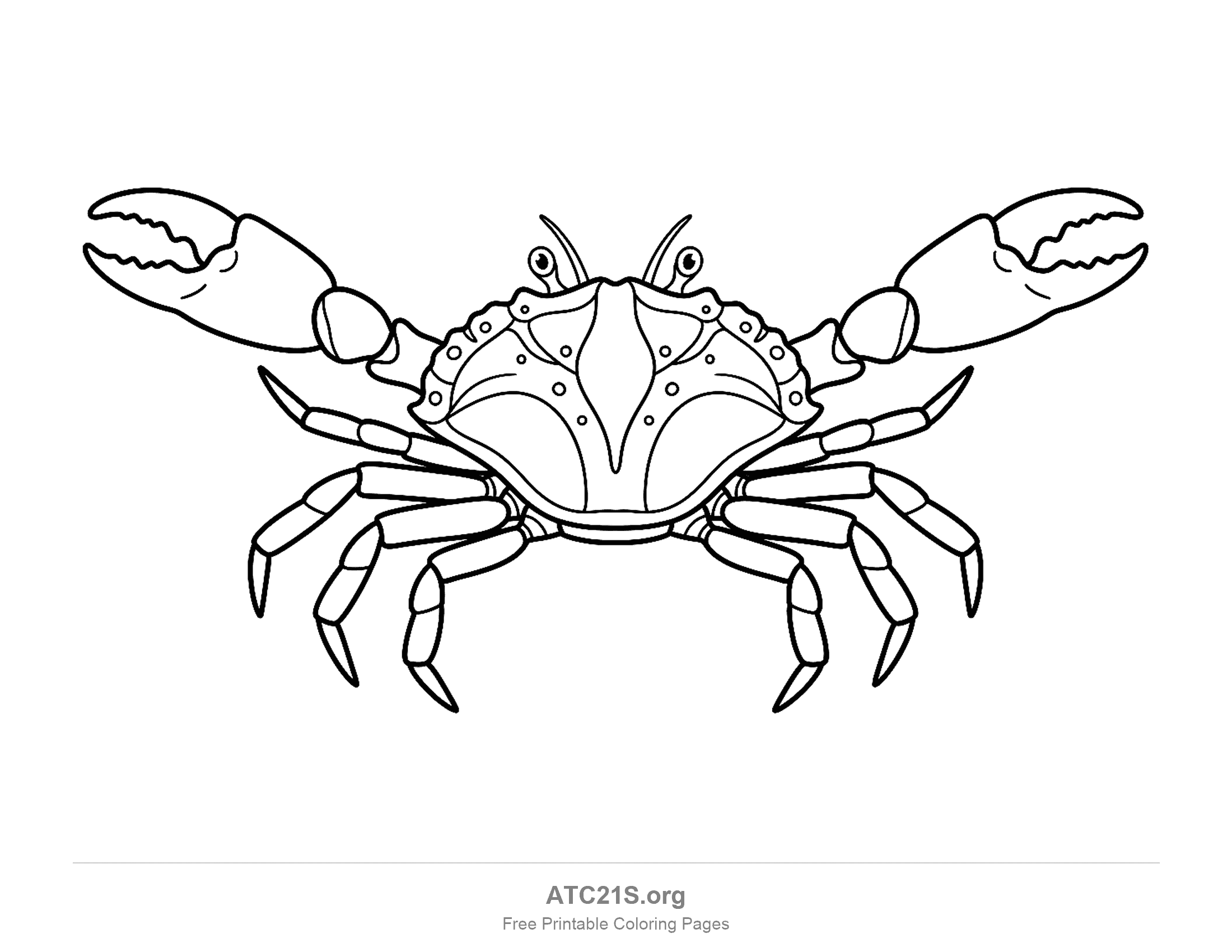 Crab seen from above with both claws raised, a bumpy spotted shell and eight pointed legs, coloring page