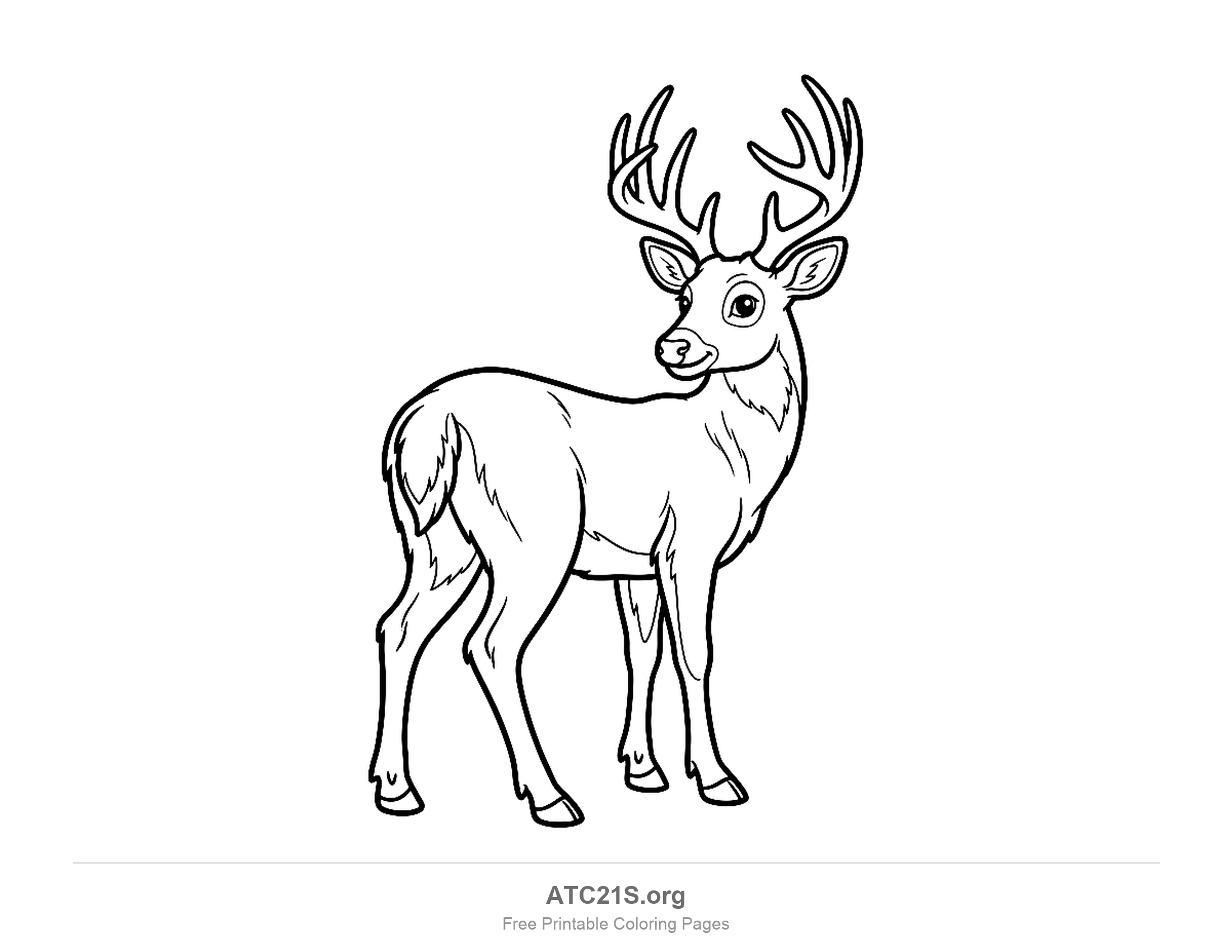 Stag glancing back over its shoulder with wide antlers and fur strokes across its chest and legs, detailed coloring page