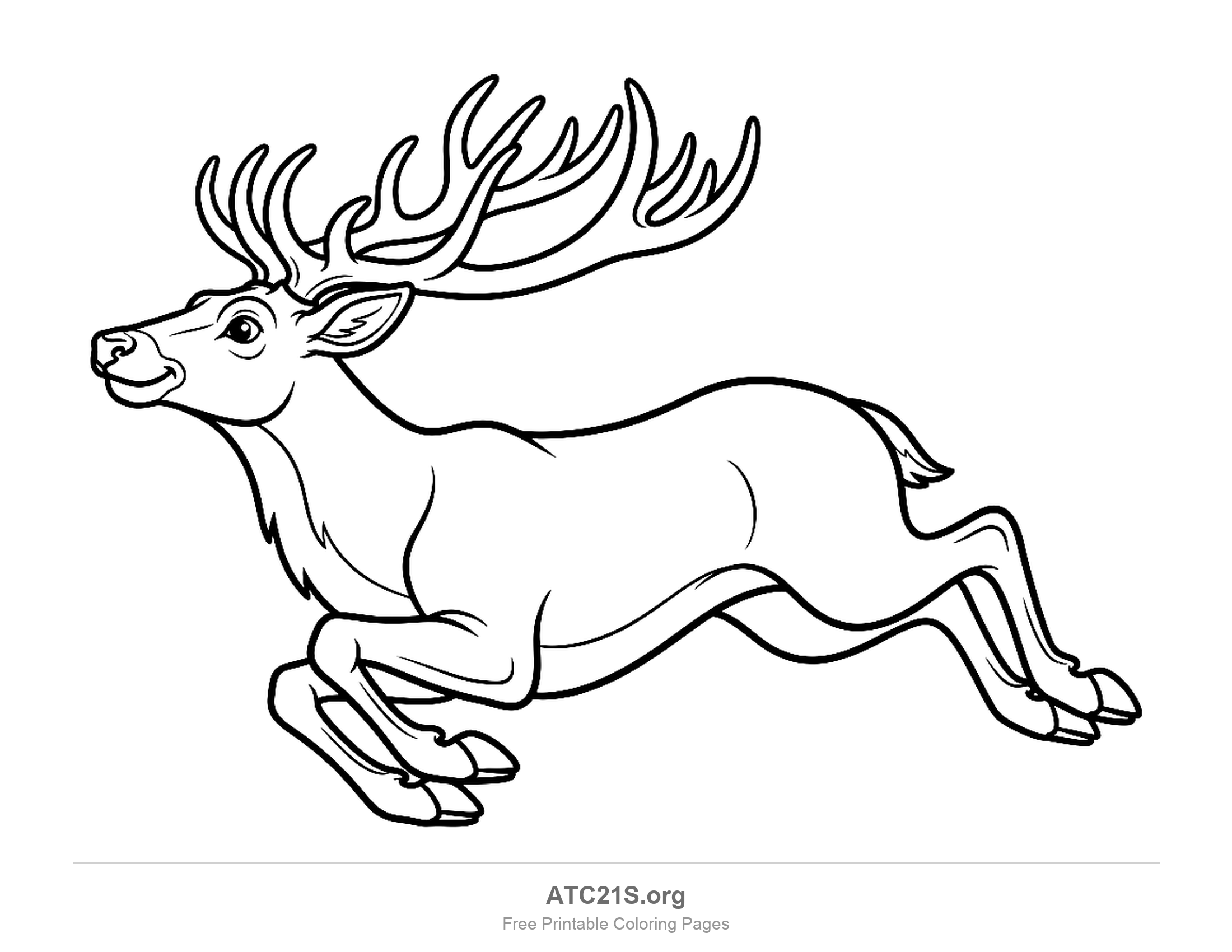 Stag leaping through the air with legs stretched out and large multi-point antlers swept back, detailed coloring page for older kids