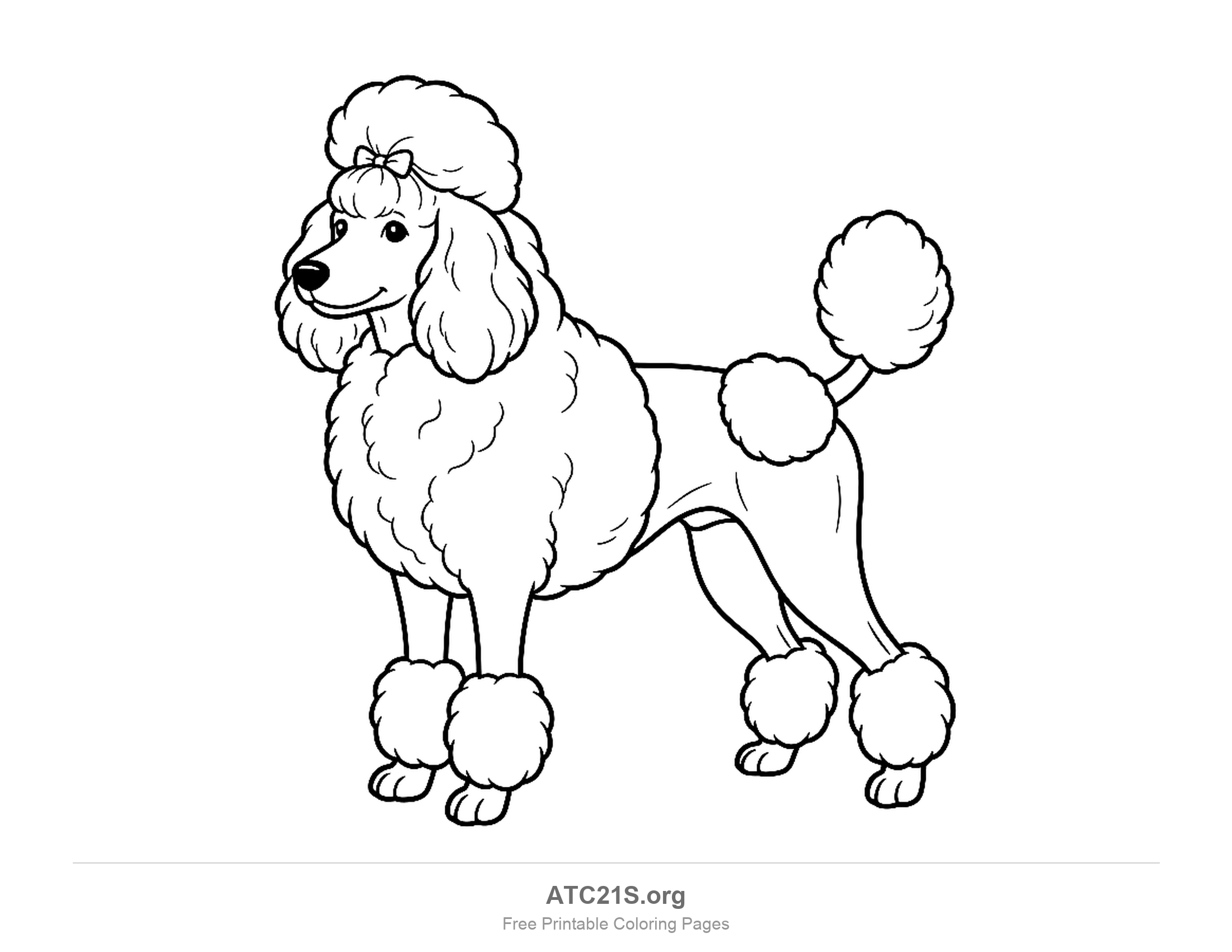 Poodle standing in the classic clip with a topknot, bow, fluffy chest and pom-pom tail, coloring page to print