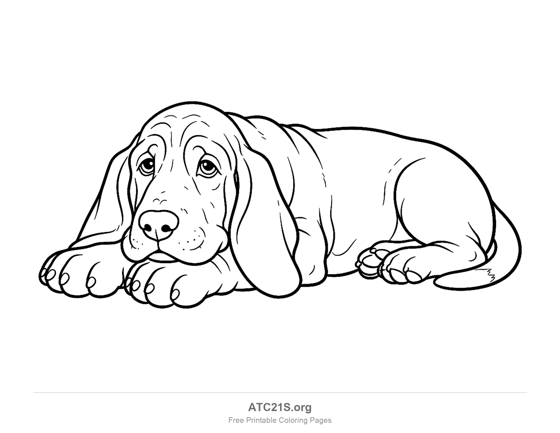Basset hound lying down with long drooping ears, wrinkled face and front paws stretched out, detailed coloring page