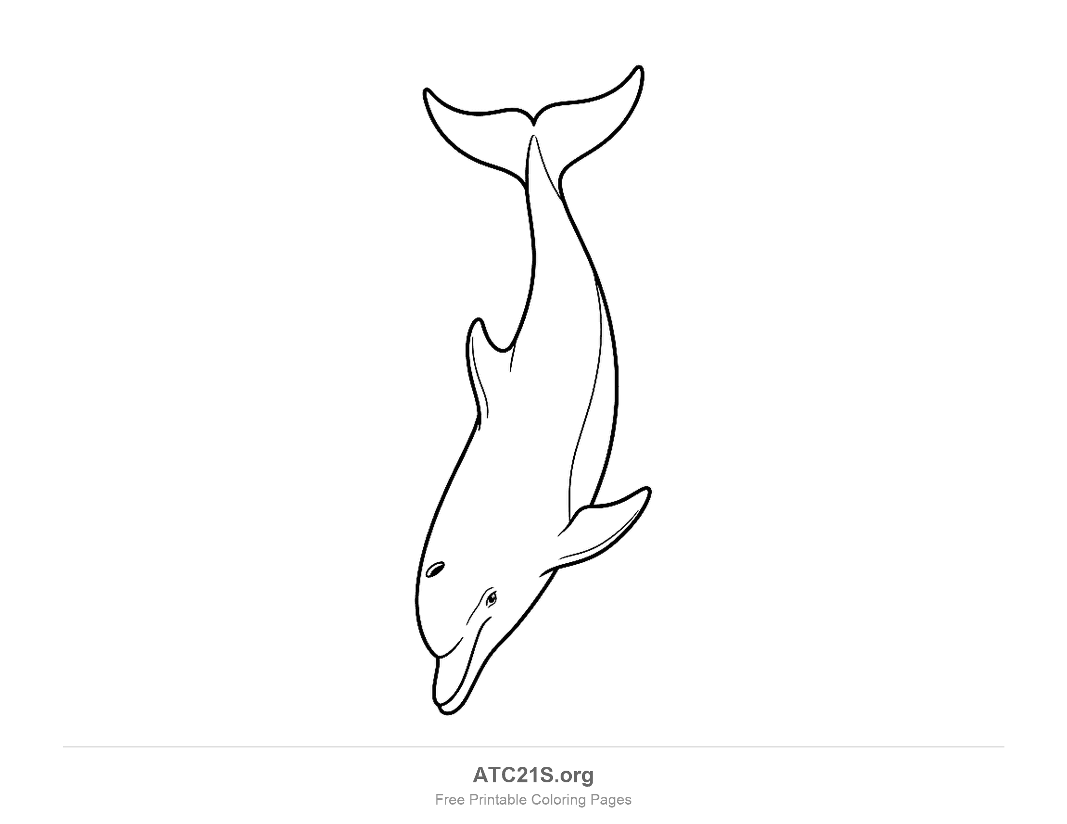 Dolphin diving straight downward with its tail at the top and its snout pointing down, coloring page for kids