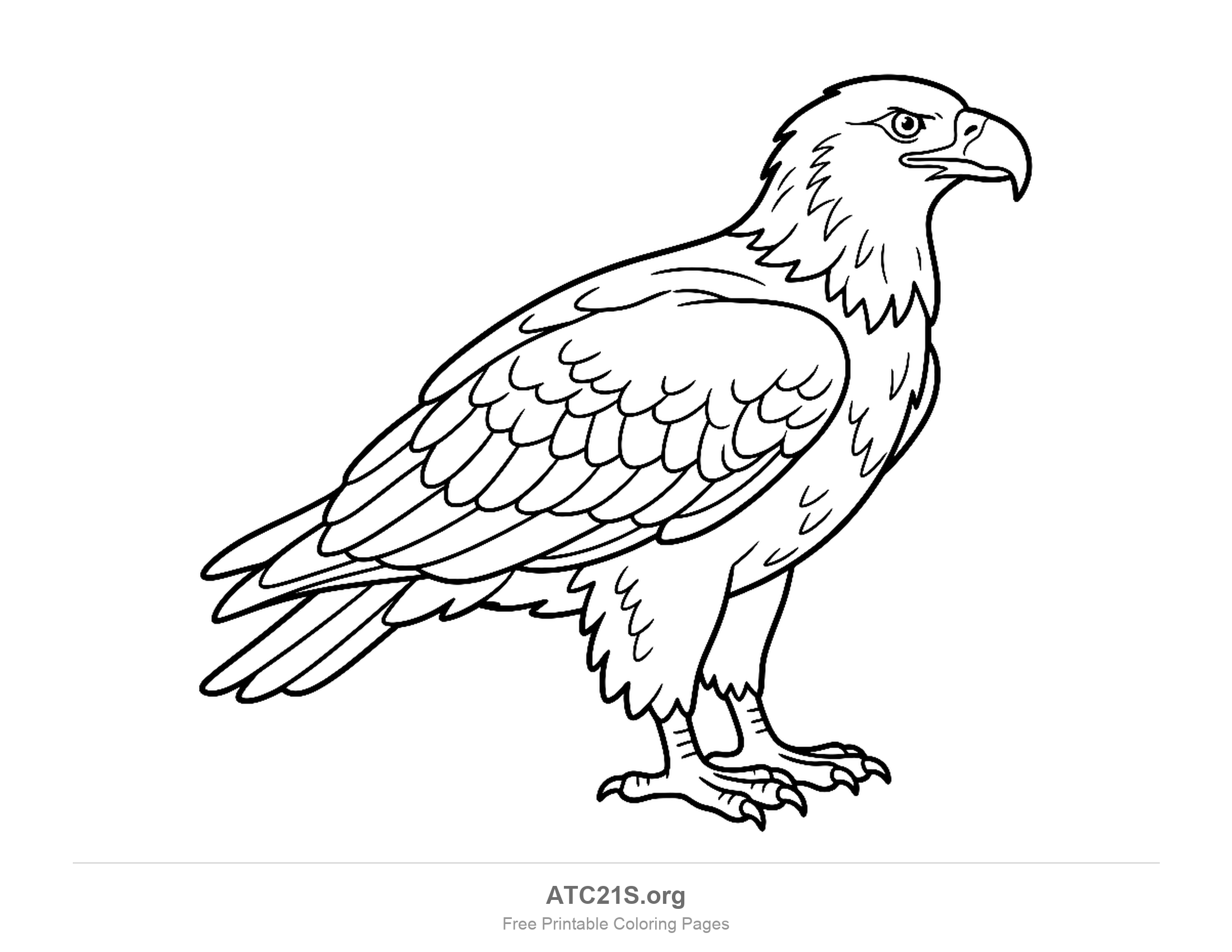 Realistic bald eagle standing in profile on two clawed feet with layered wing feathers along its back, coloring page to print