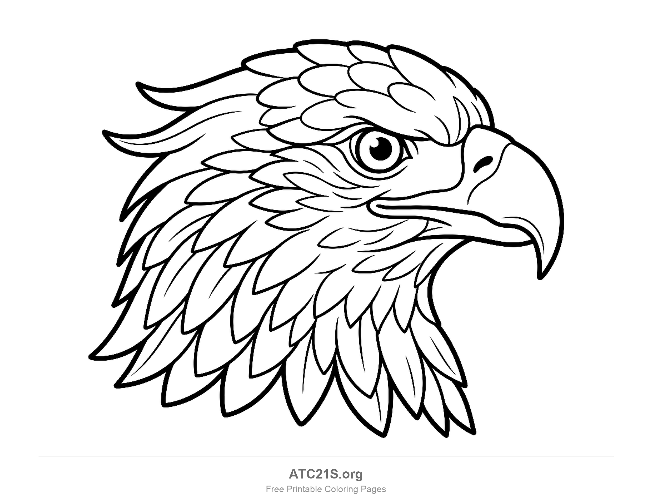 Close-up eagle head in profile with a large hooked beak and many small overlapping neck feathers, detailed coloring page