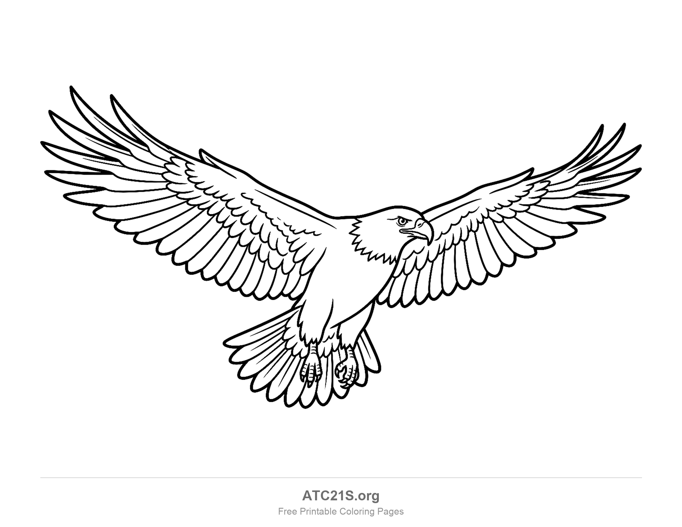 Bald eagle seen head-on soaring with both wings fully spread and long flight feathers fanned out, detailed coloring page