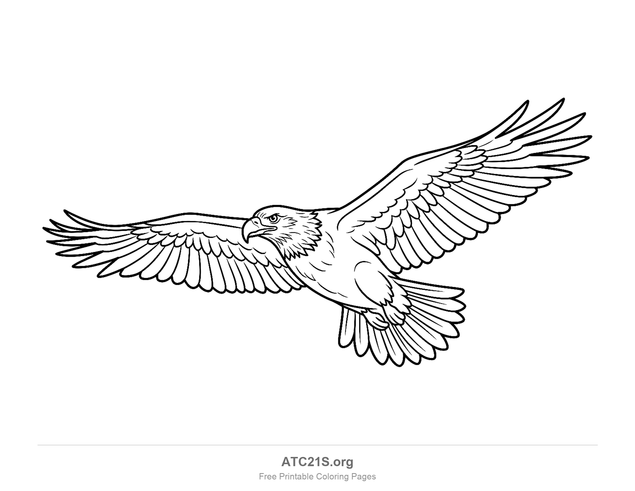 Eagle gliding at a three-quarter angle with tilted wings and a fanned tail, finely detailed coloring page for older kids