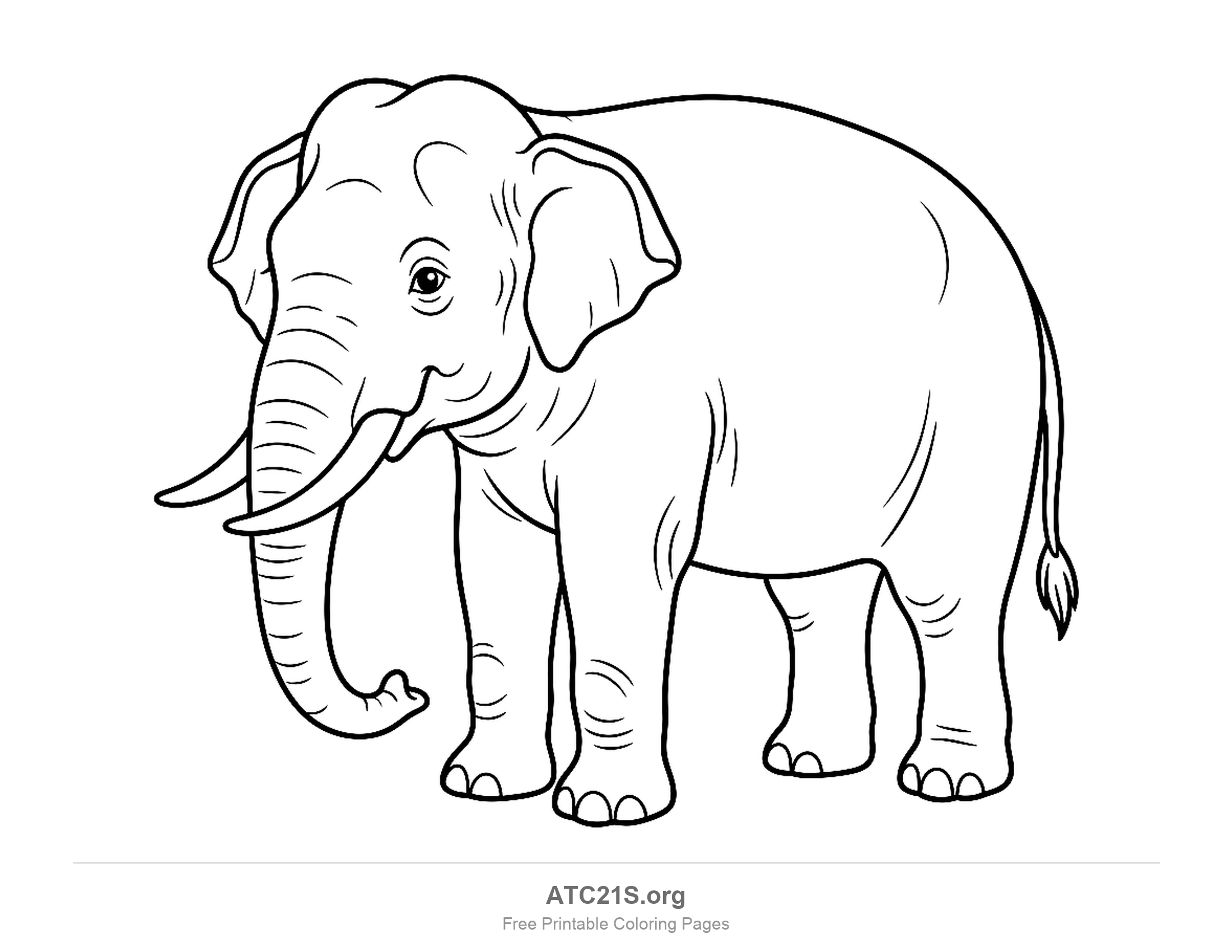 Asian elephant standing in three-quarter view with small rounded ears and finely wrinkled skin, detailed coloring page