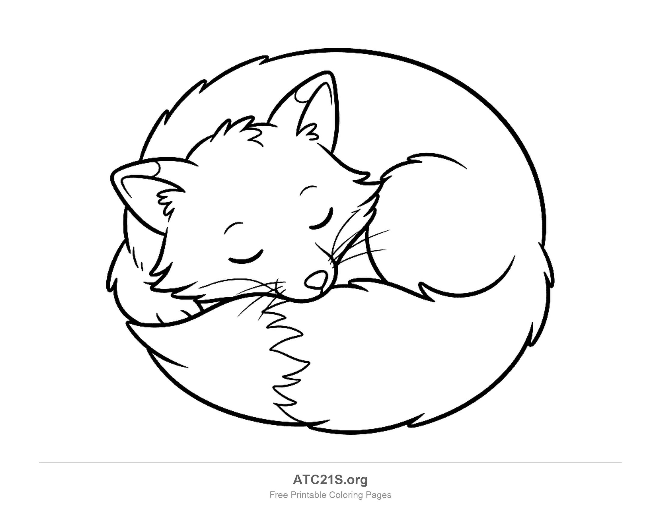 Fox curled into a circle asleep with its eyes closed and bushy tail wrapped around its body, coloring page