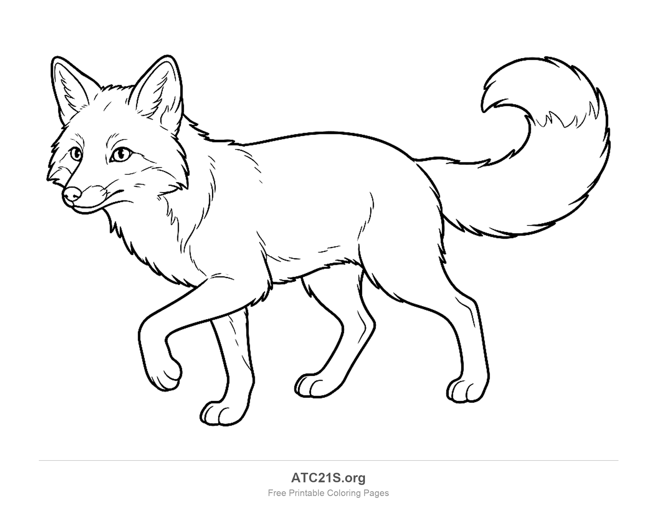 Fox walking and glancing back over its shoulder with a raised bushy tail, detailed coloring page for older kids