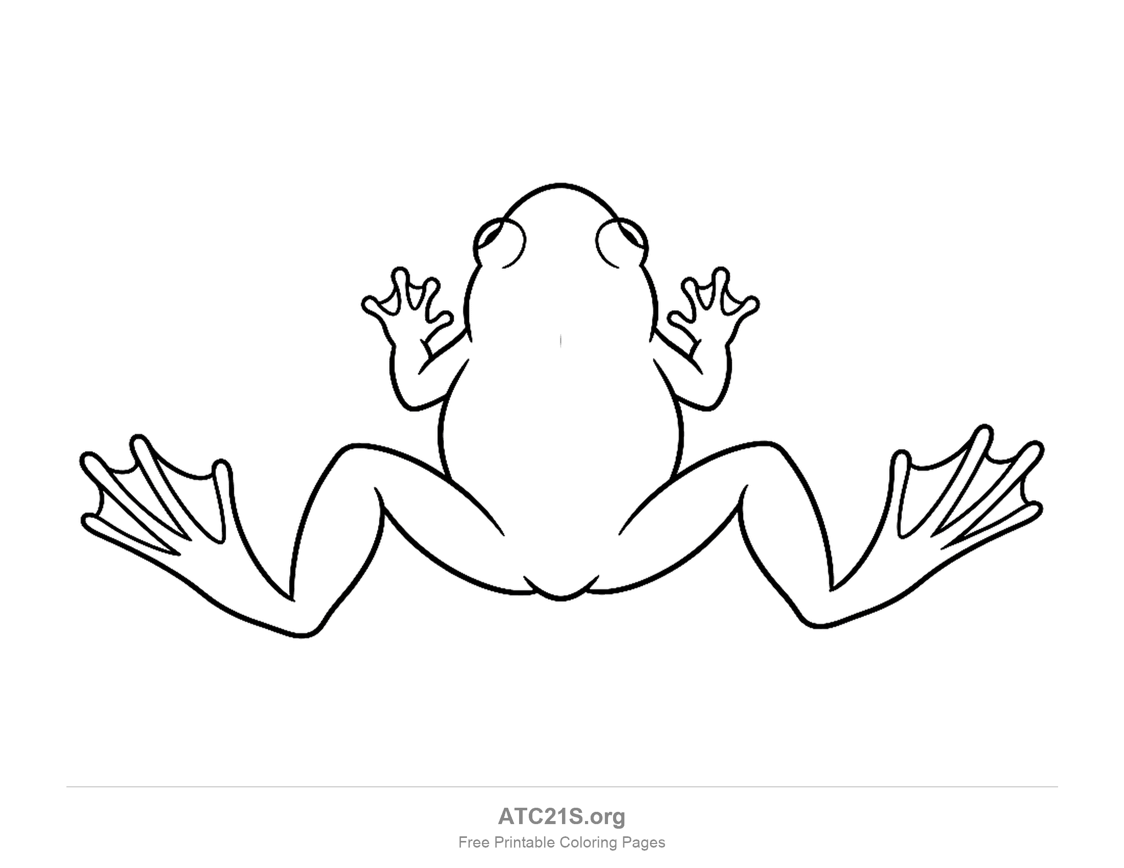 Simple frog seen from above with splayed webbed hind feet and raised front feet, easy coloring page for kids