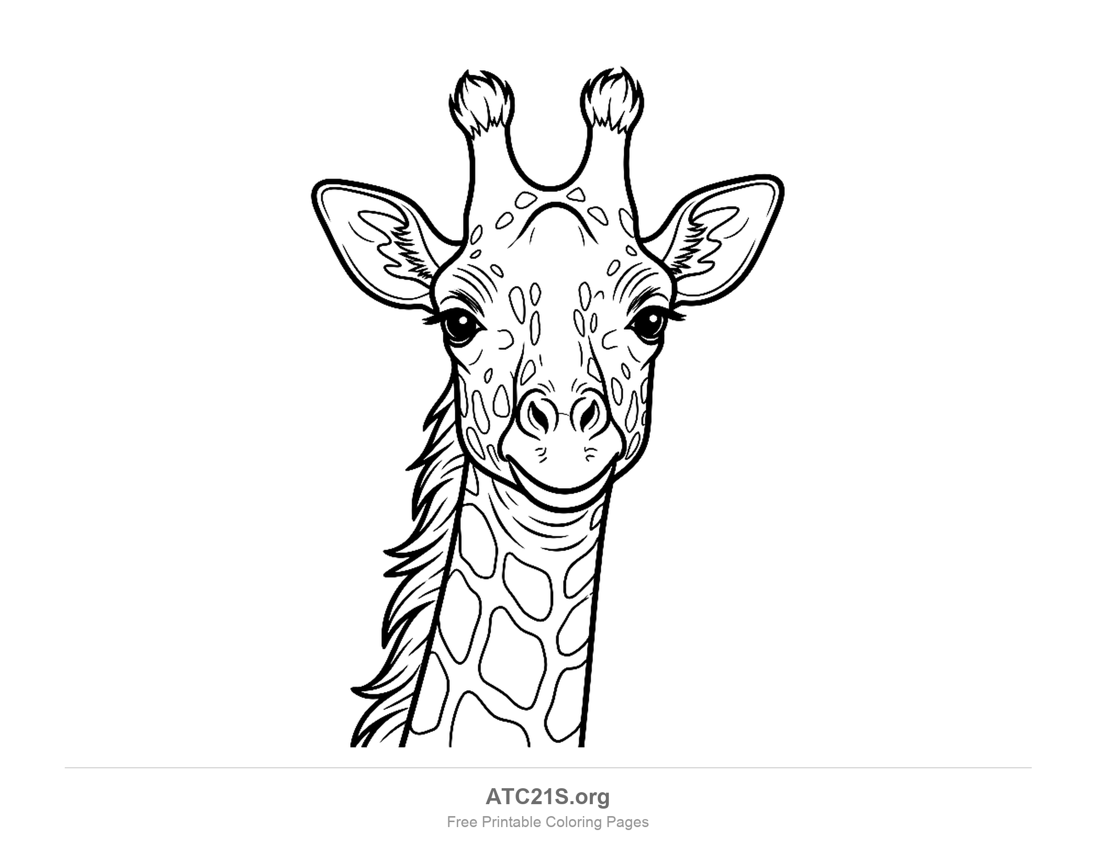 Close-up giraffe face looking straight ahead with long eyelashes, tufted horns and a shaggy mane, coloring page that also works as a mask