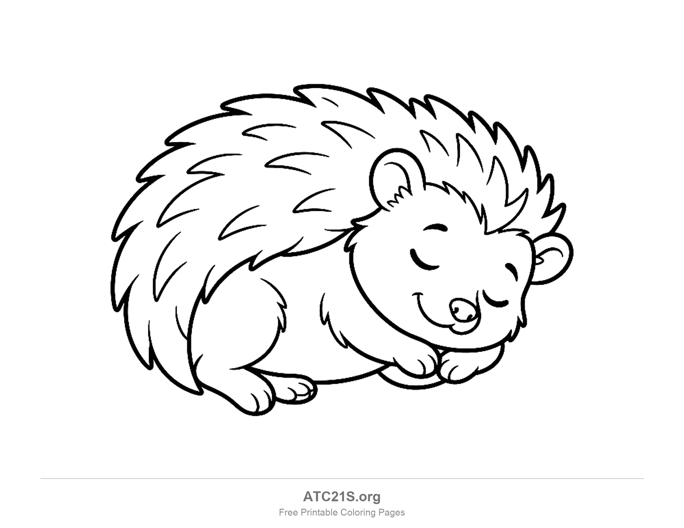 Hedgehog sleeping curled on its side with closed eyes, a smile, its head resting on its paws and spines along its back, coloring page to print