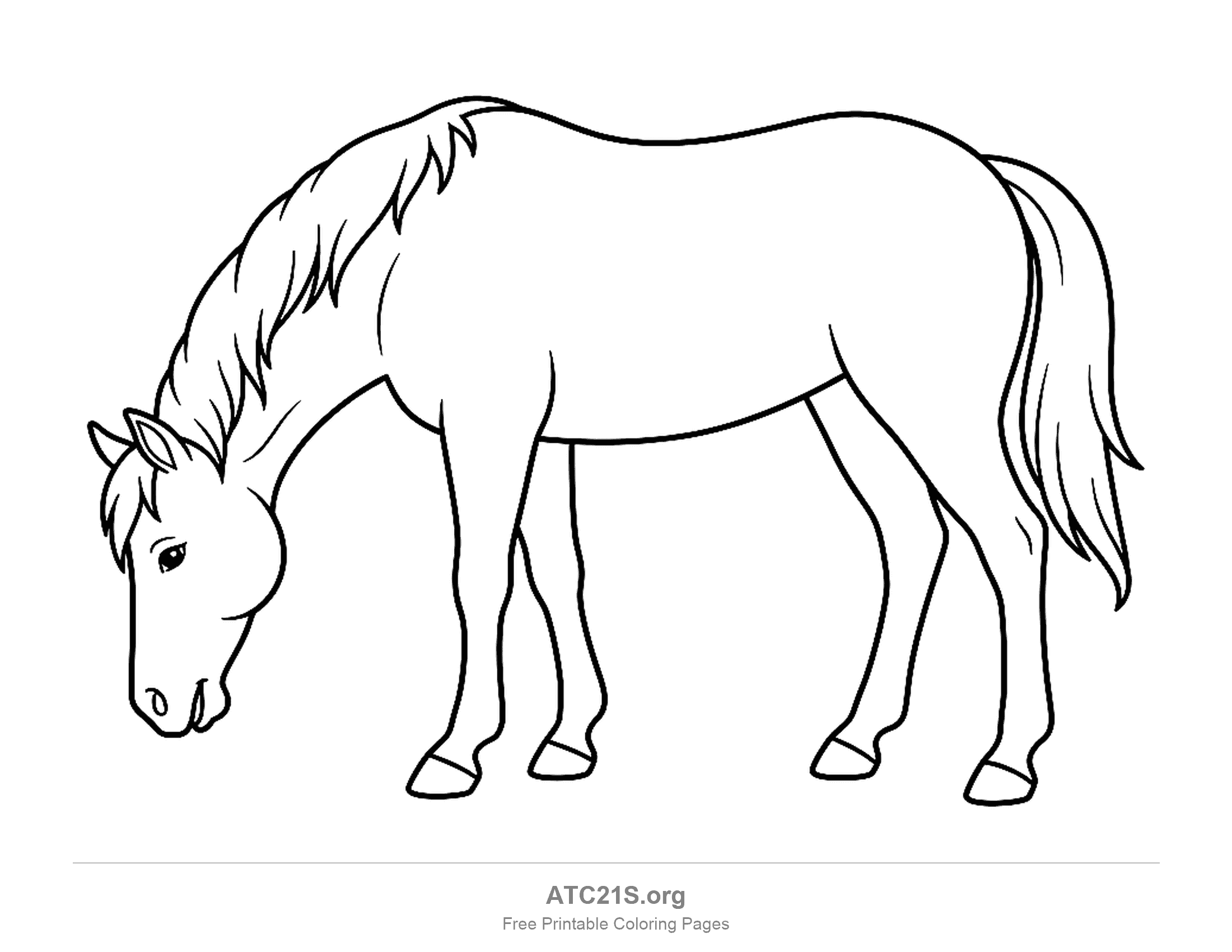 Simple horse grazing with its head down and a large open body, easy coloring page for kids