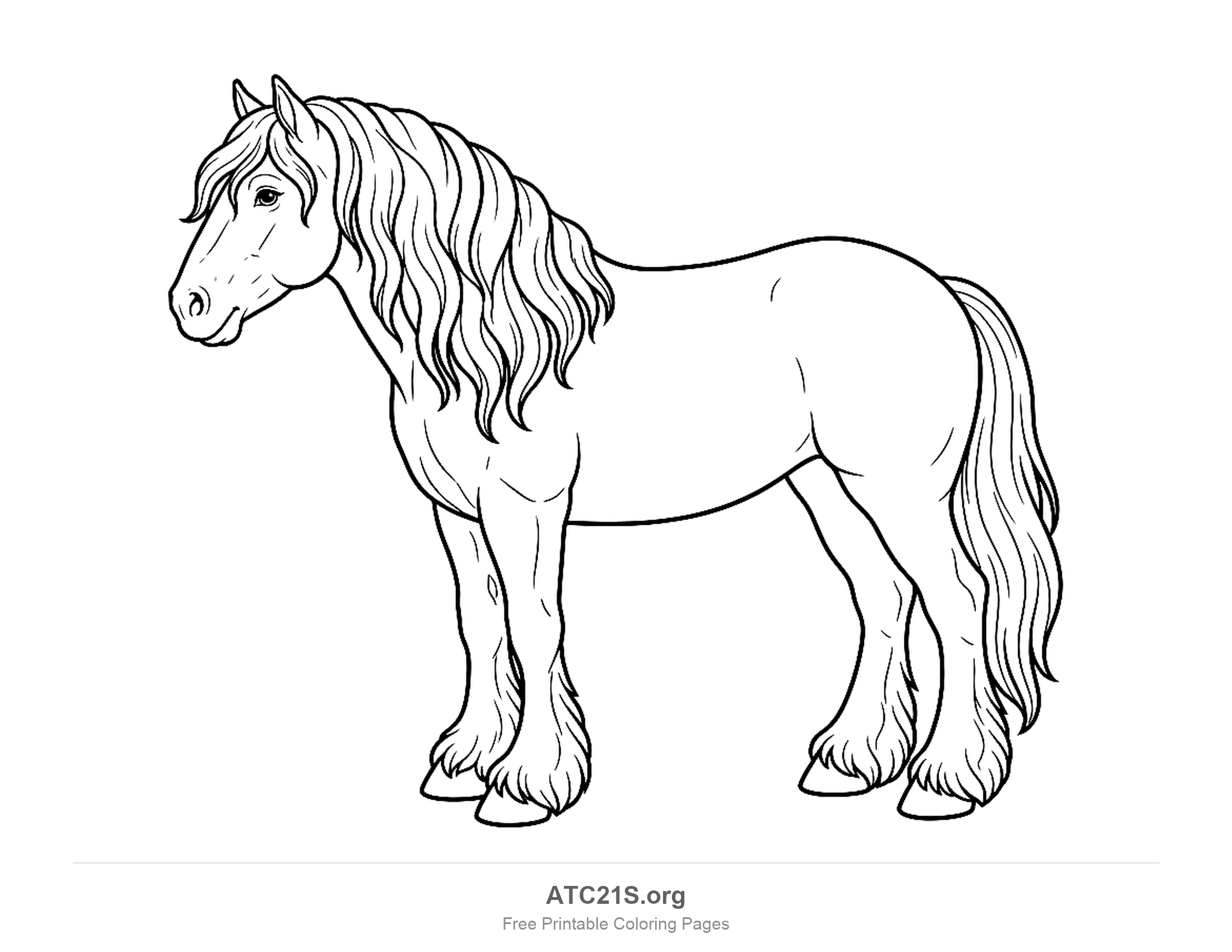 Heavy draft horse standing with a long wavy mane and feathered hooves, detailed coloring page
