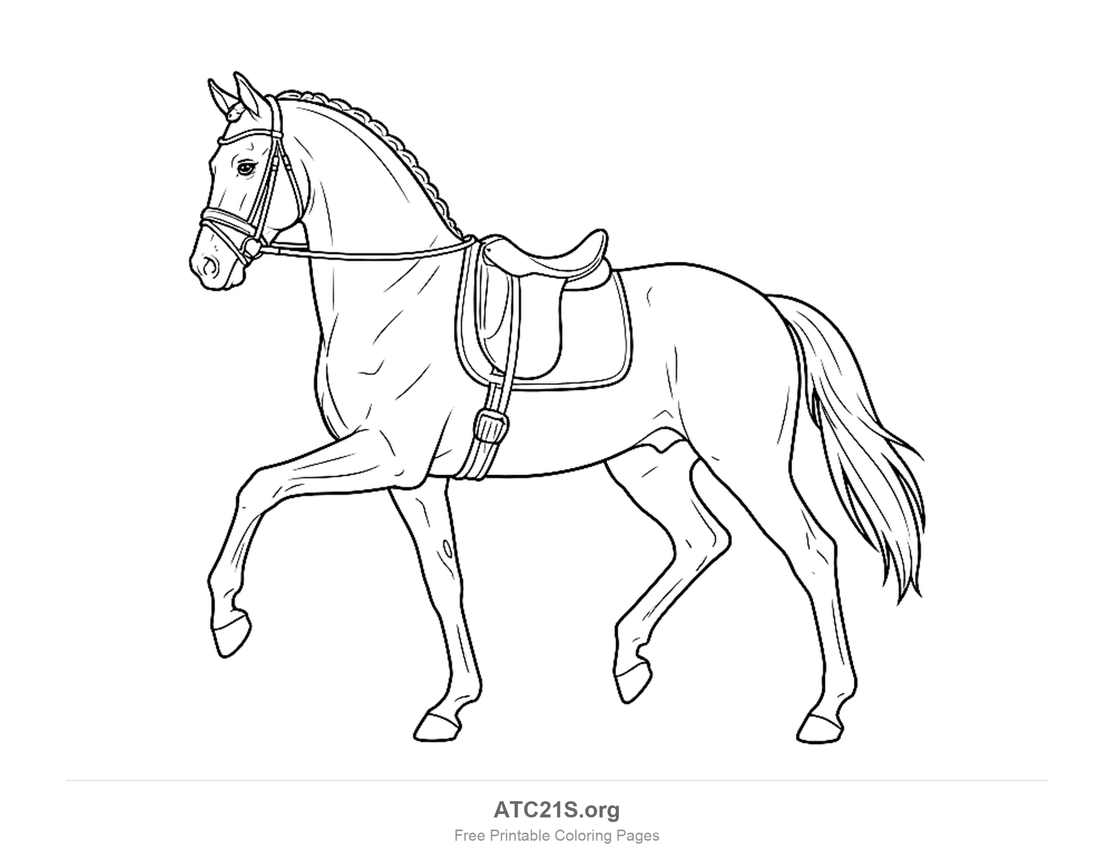 Saddled horse in a high-stepping trot with a bridle and muscle detail, detailed coloring page for older kids