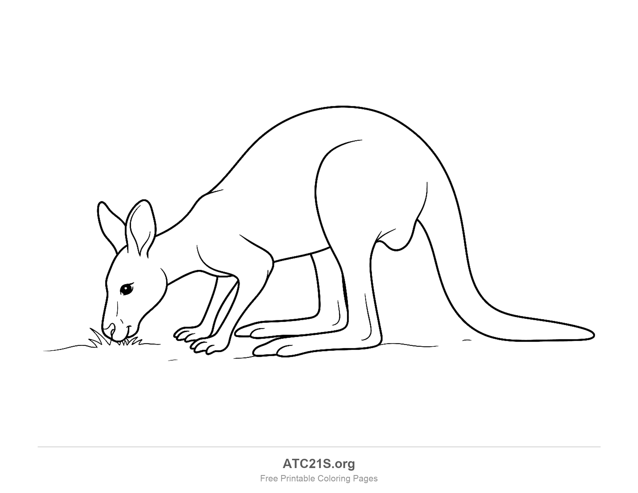 Kangaroo bending down to graze on grass, with a long arched back, large hind legs and a thick tail, coloring page