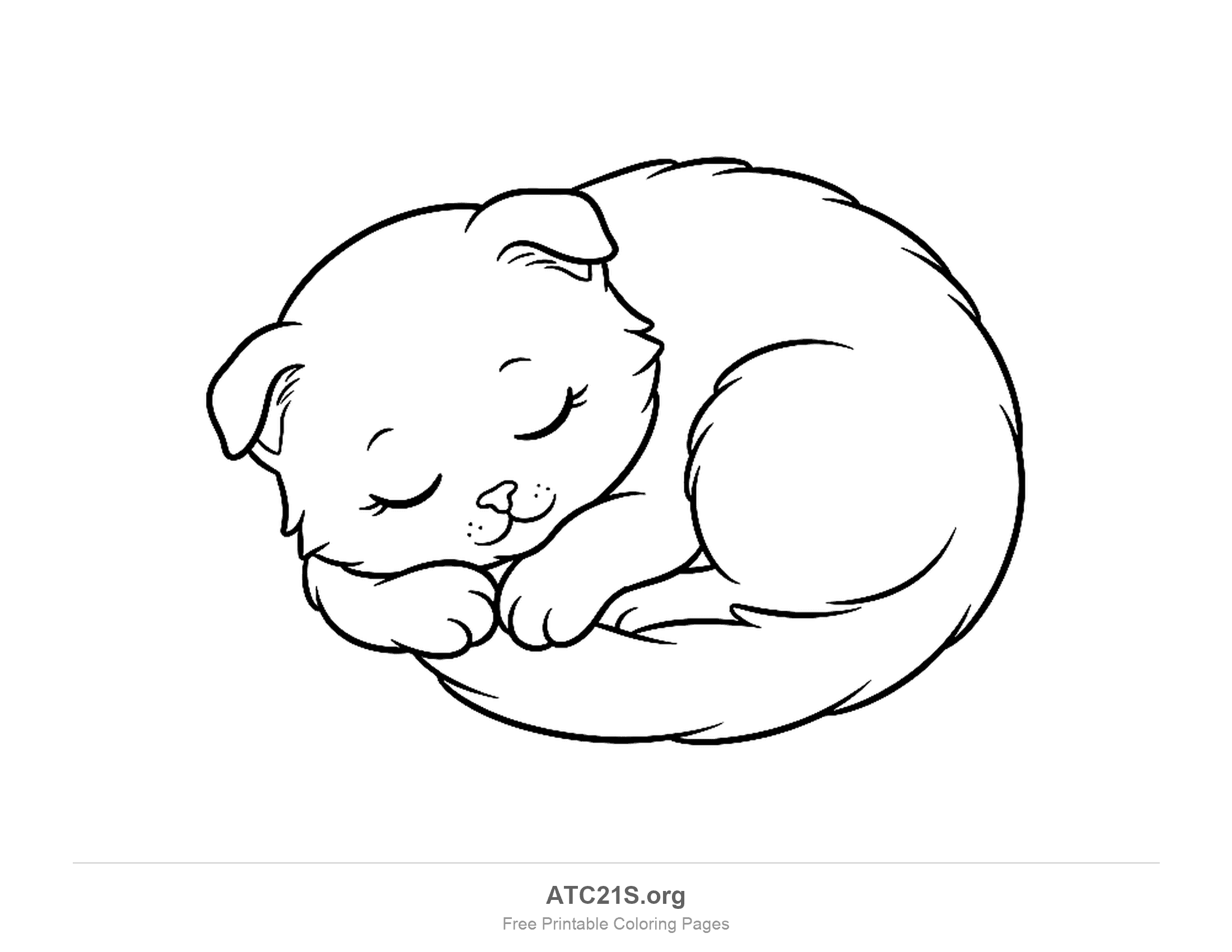 Kitten