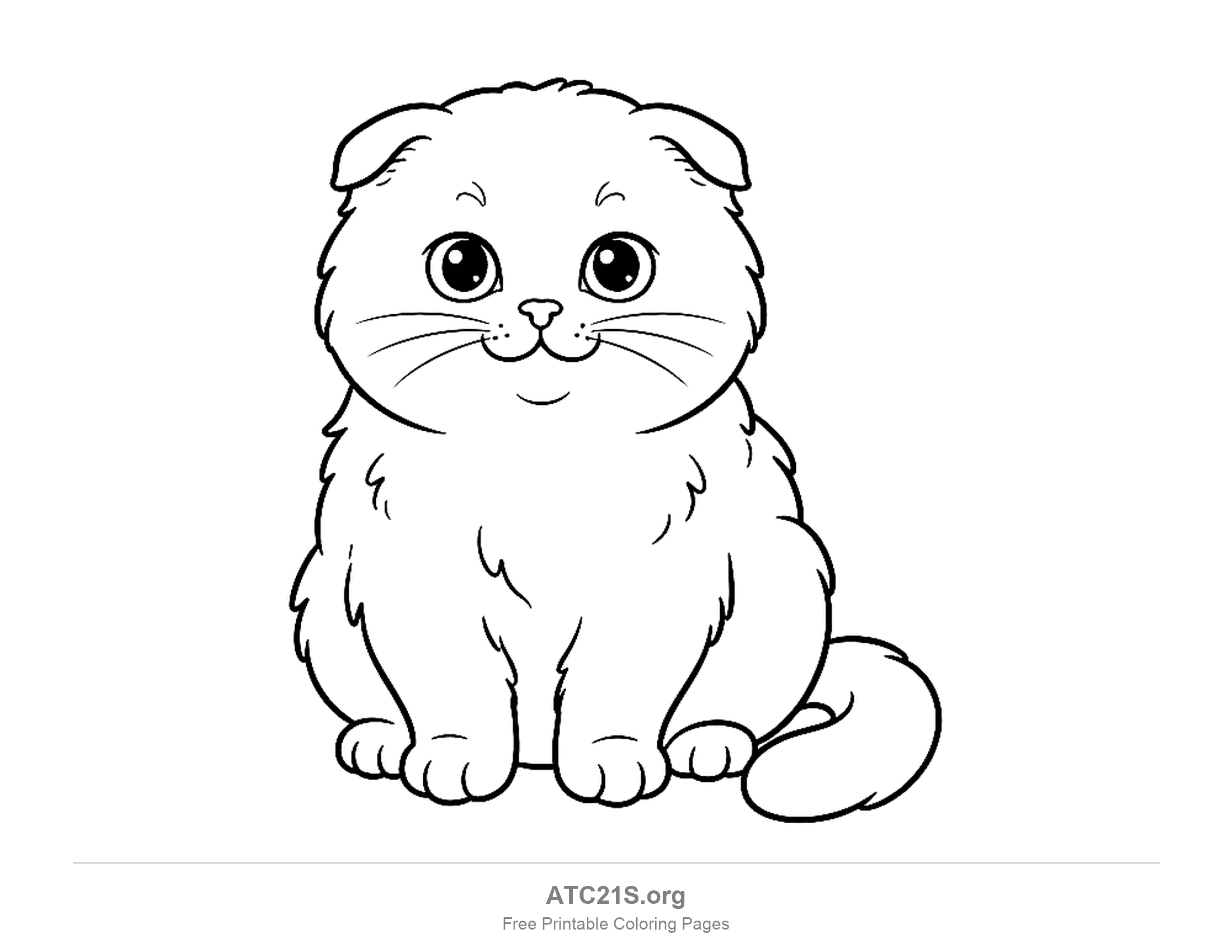 Chubby fold-eared kitten sitting front-on with a round face, big eyes and a short tail, coloring page for kids
