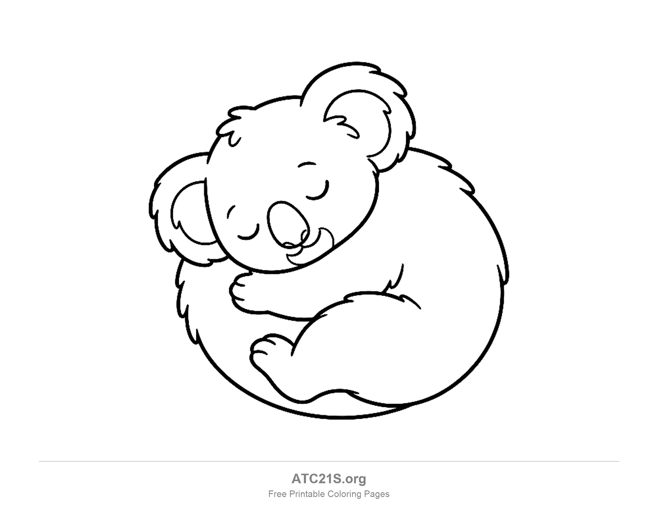 Koala