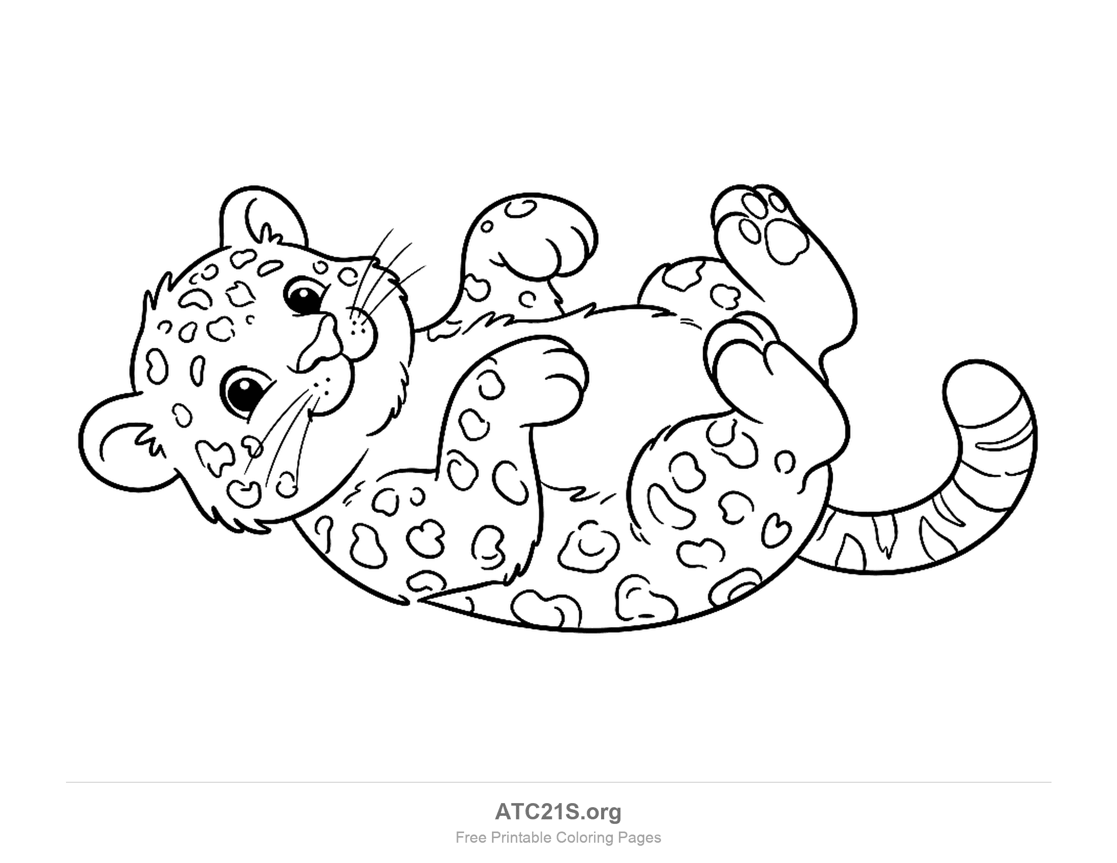 Cute leopard cub lying on its back with paws in the air, a spotted coat, paw pads showing and a striped tail, printable coloring page