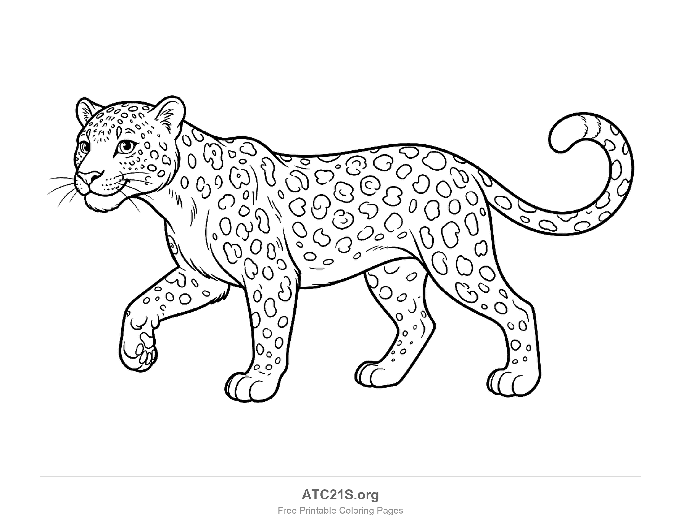 Leopard walking in side profile with a coat of rosette spots, whiskers and a curled tail, detailed coloring page
