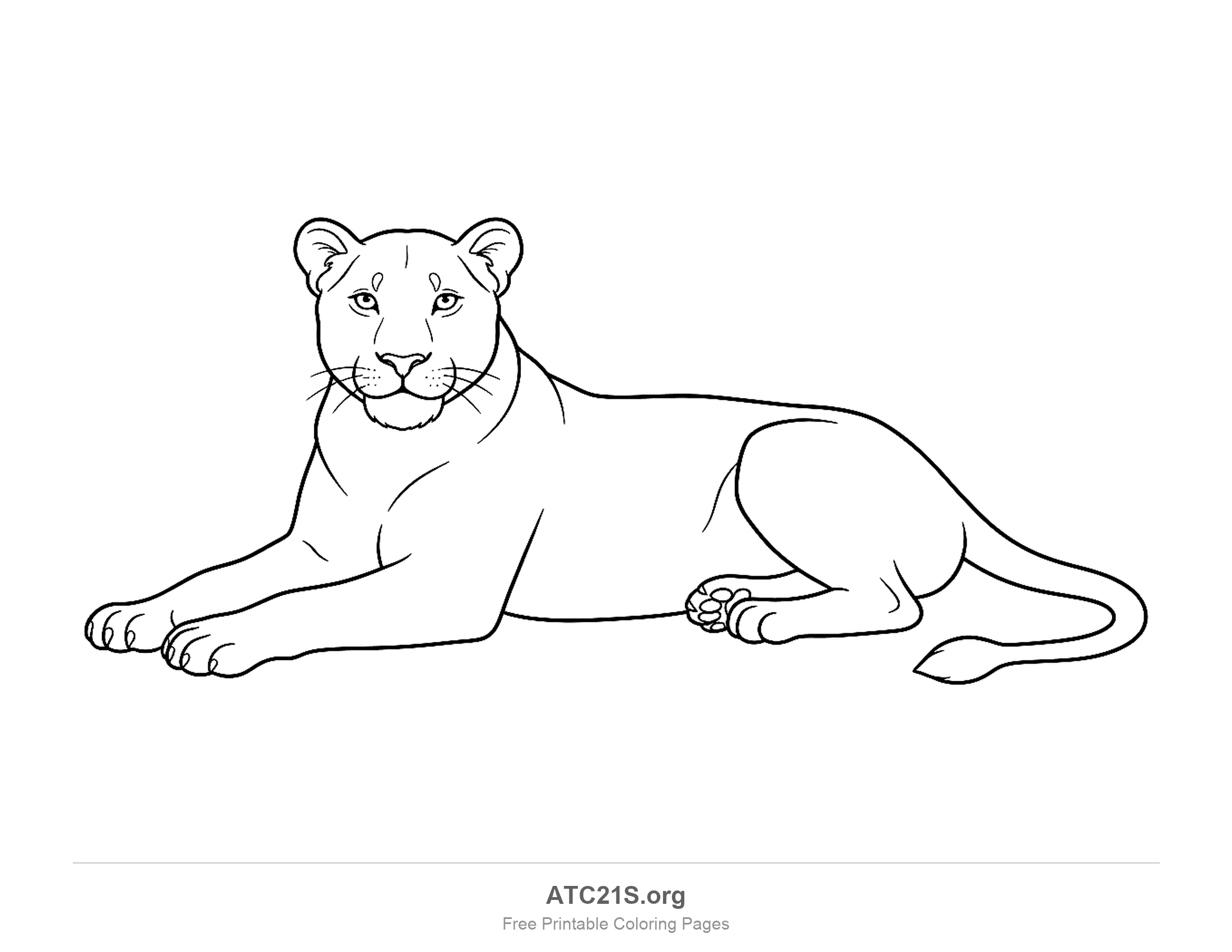 Lioness lying down facing forward with front paws stretched out and a curved tail, coloring page
