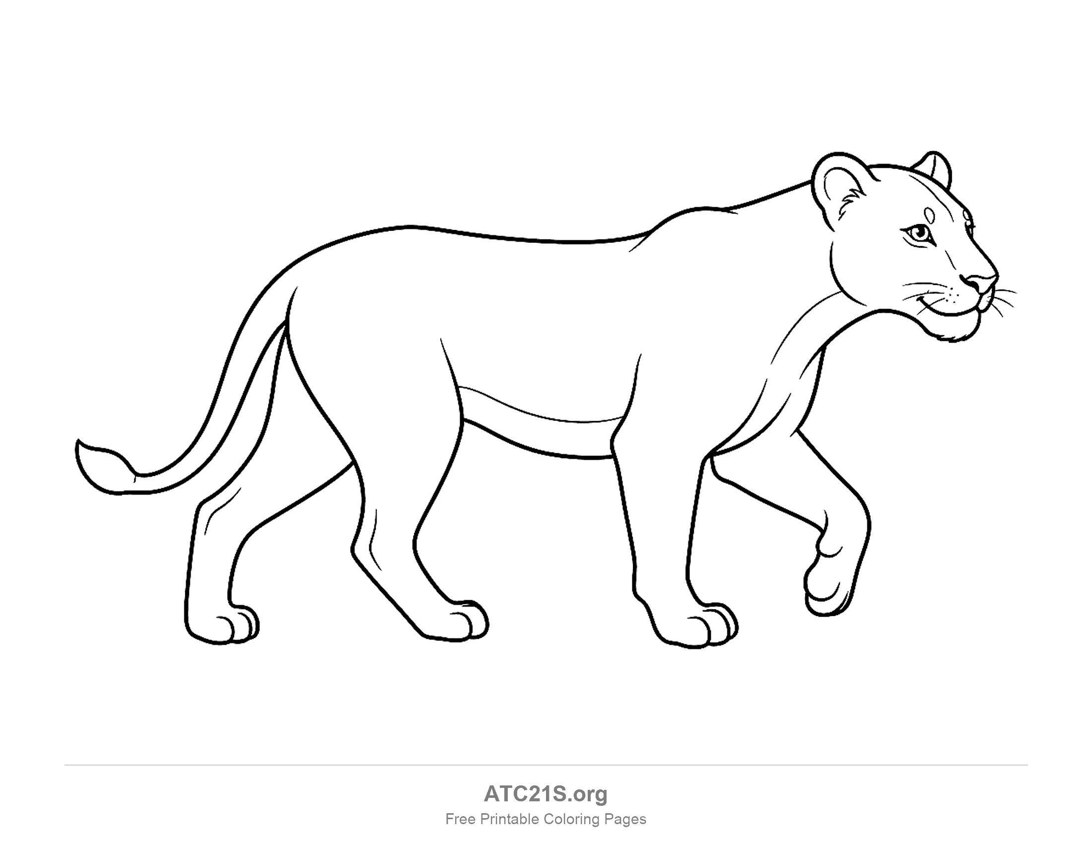 Realistic lioness walking in profile with a sleek body, whiskers and a tufted tail, coloring page for older kids