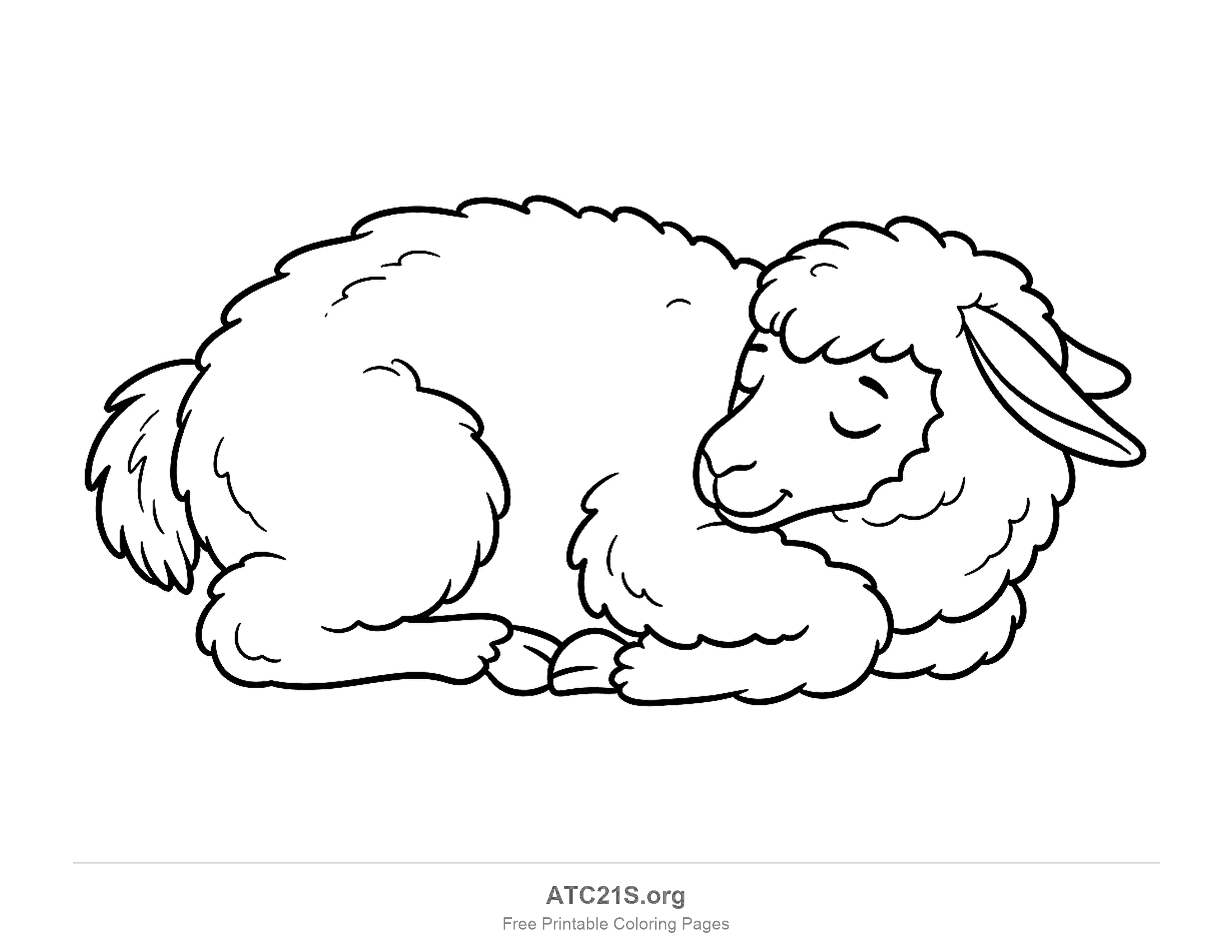 Llama sleeping curled up with closed eyes, a smile, fluffy wool and its head resting near its front legs, coloring page to print