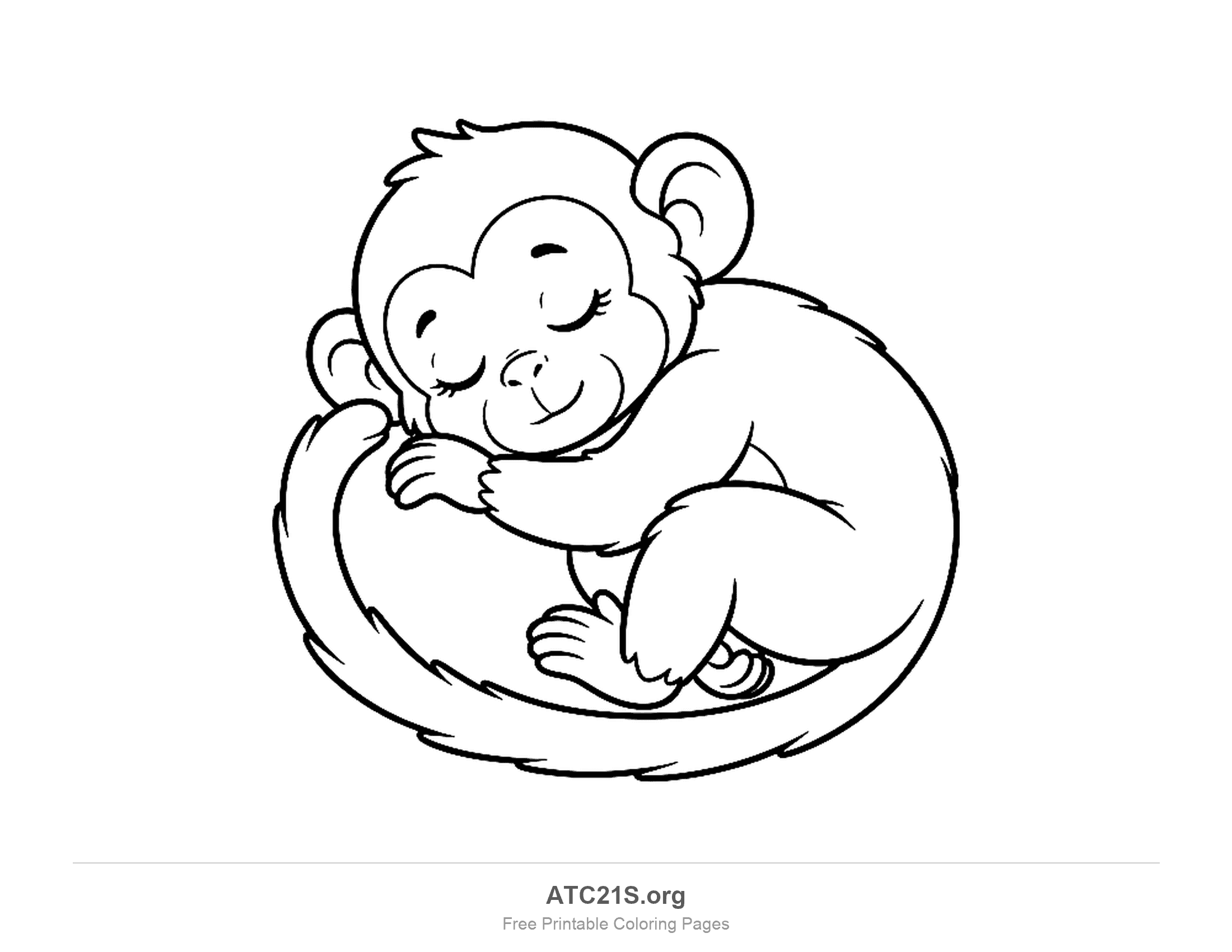 Monkey