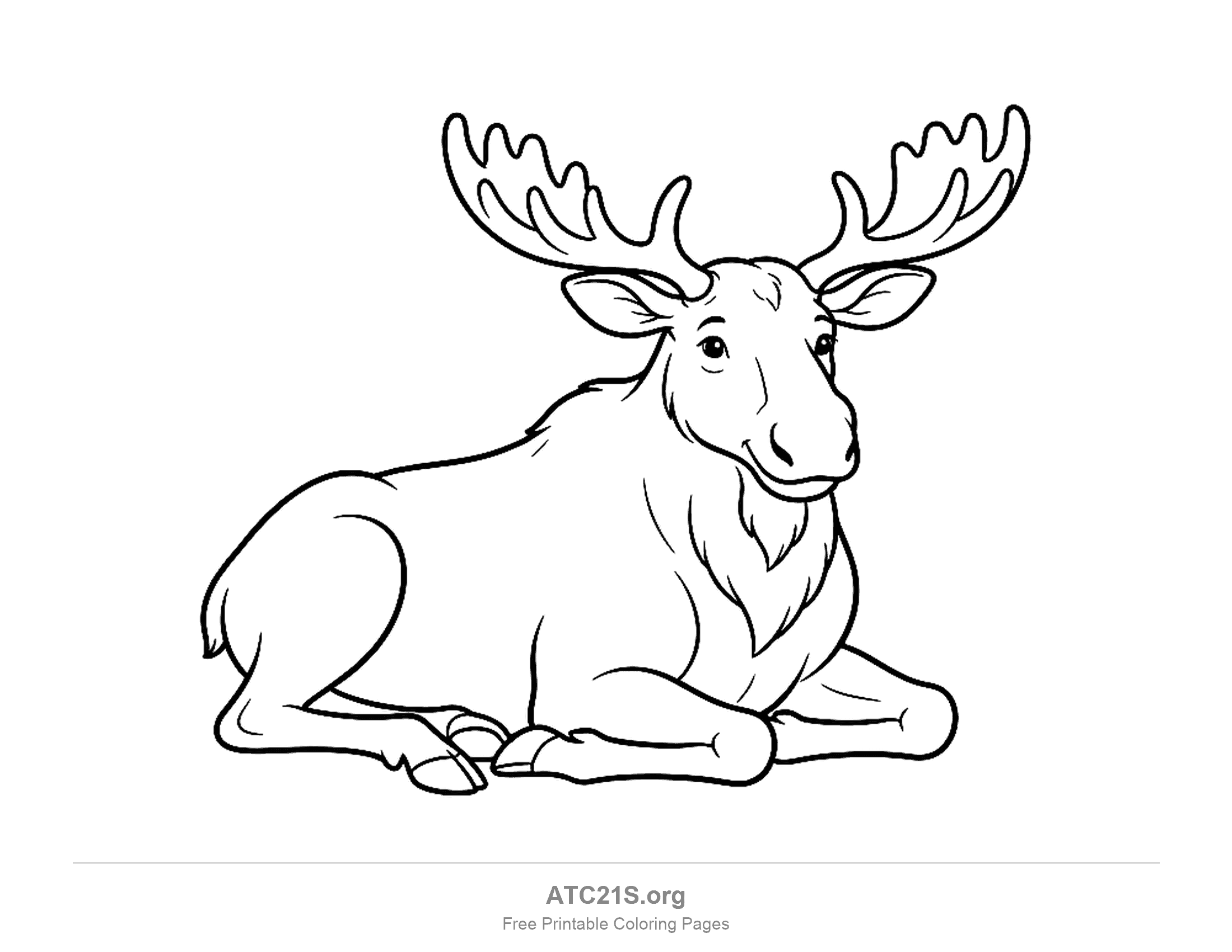 Moose lying down resting with palmate antlers, a dewlap and its legs tucked underneath, coloring page to print