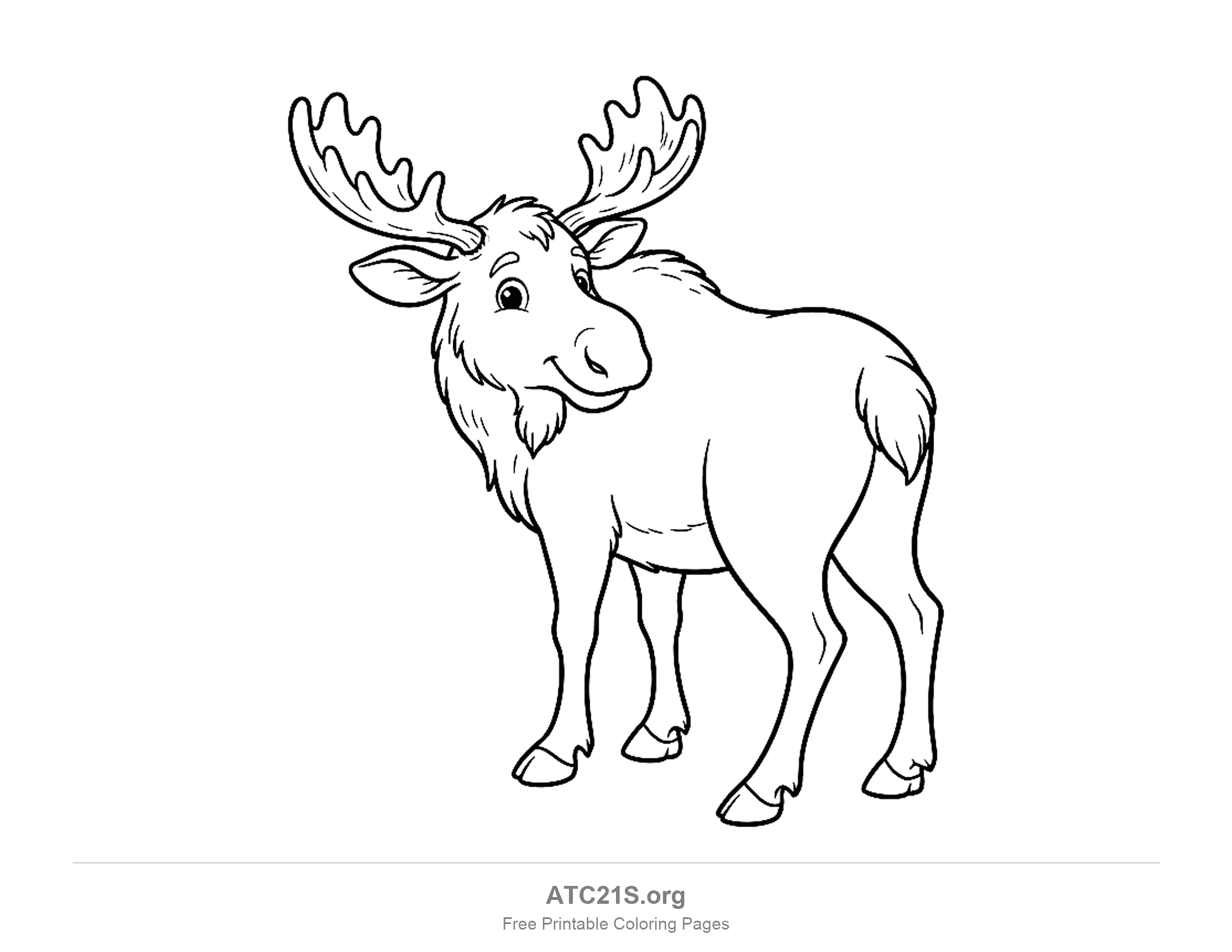 Moose standing and looking back over its shoulder with palmate antlers, a dewlap and a short tail, coloring page